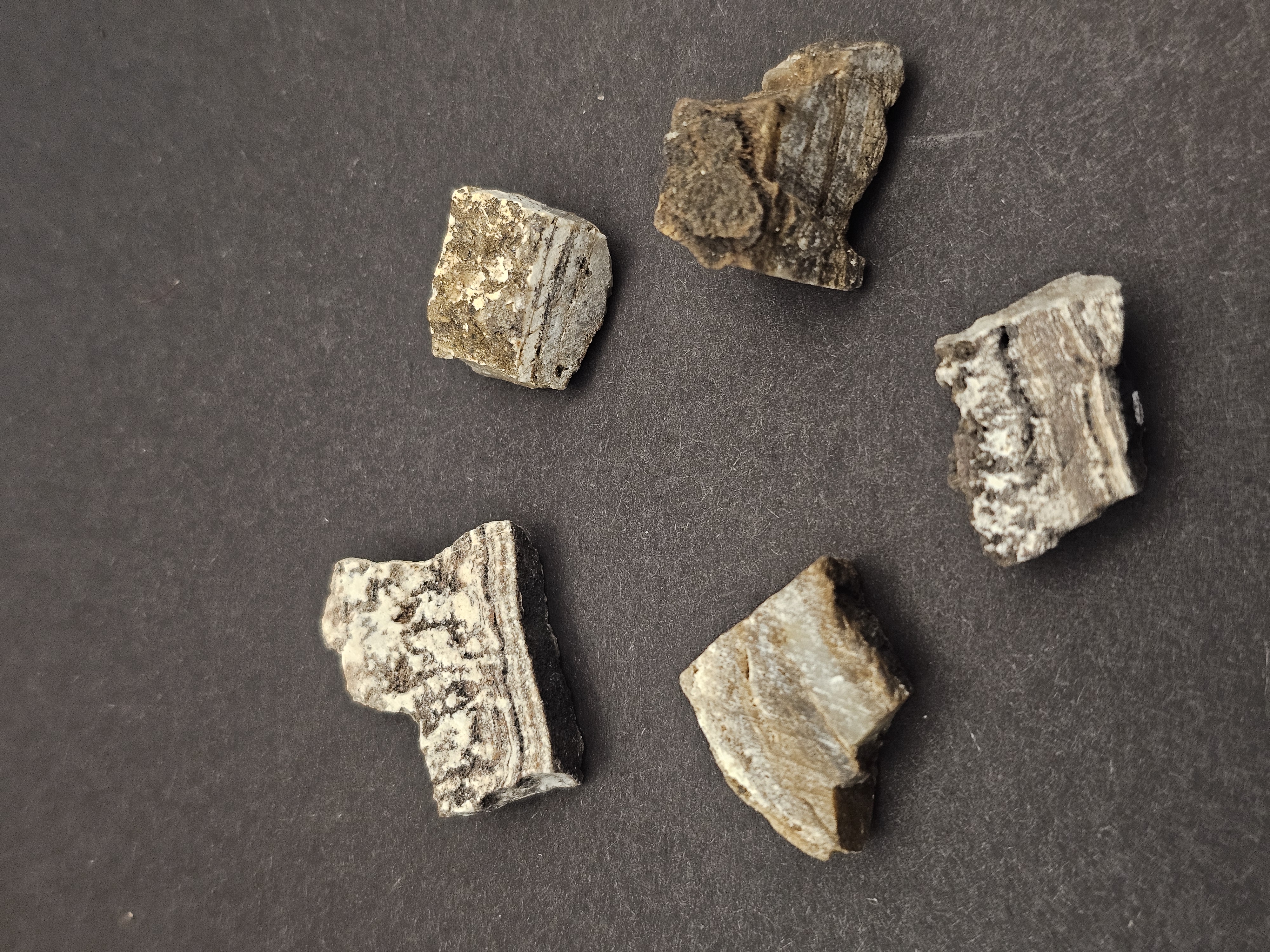 Early Life Fossils