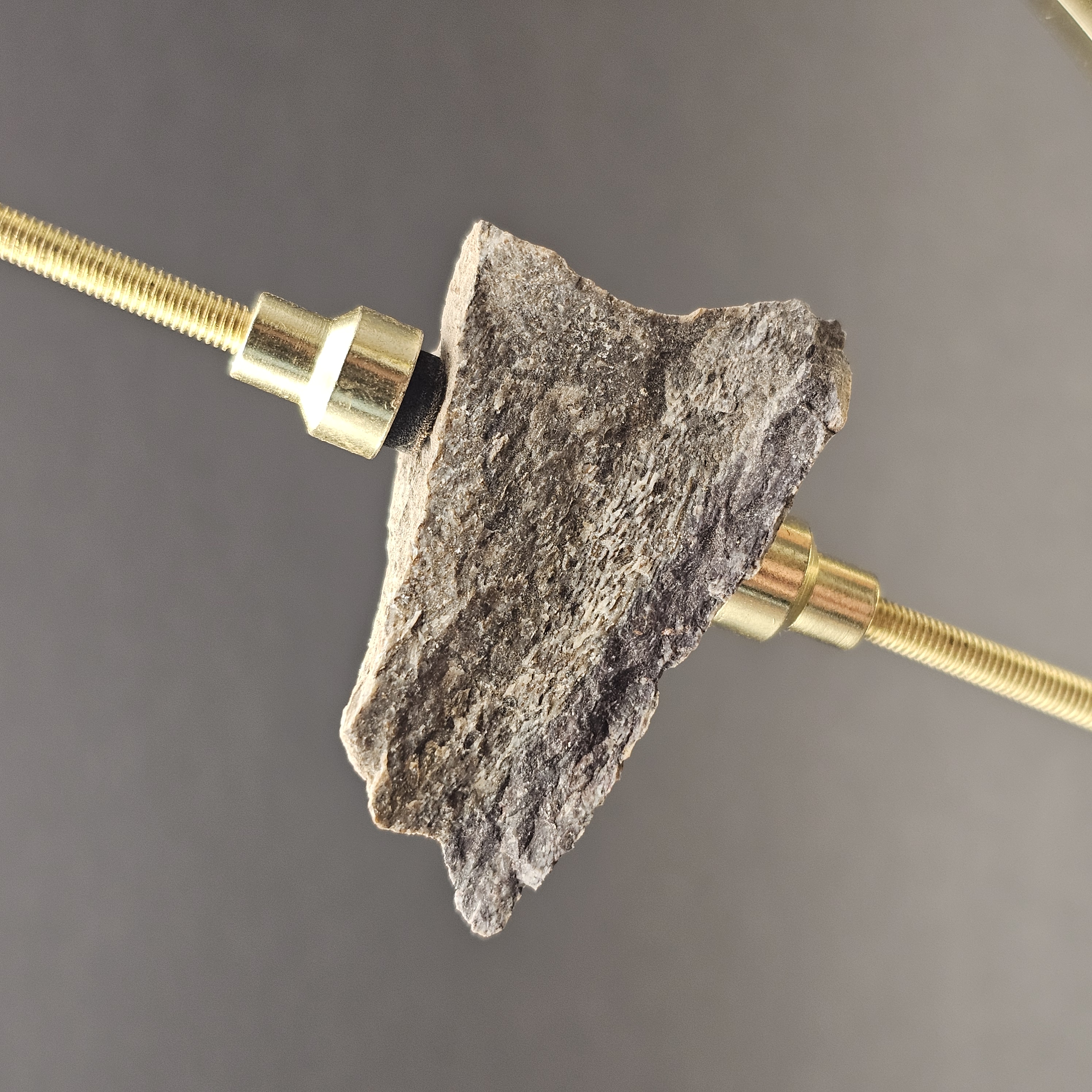 Sauropod Bone Fragment — view 1