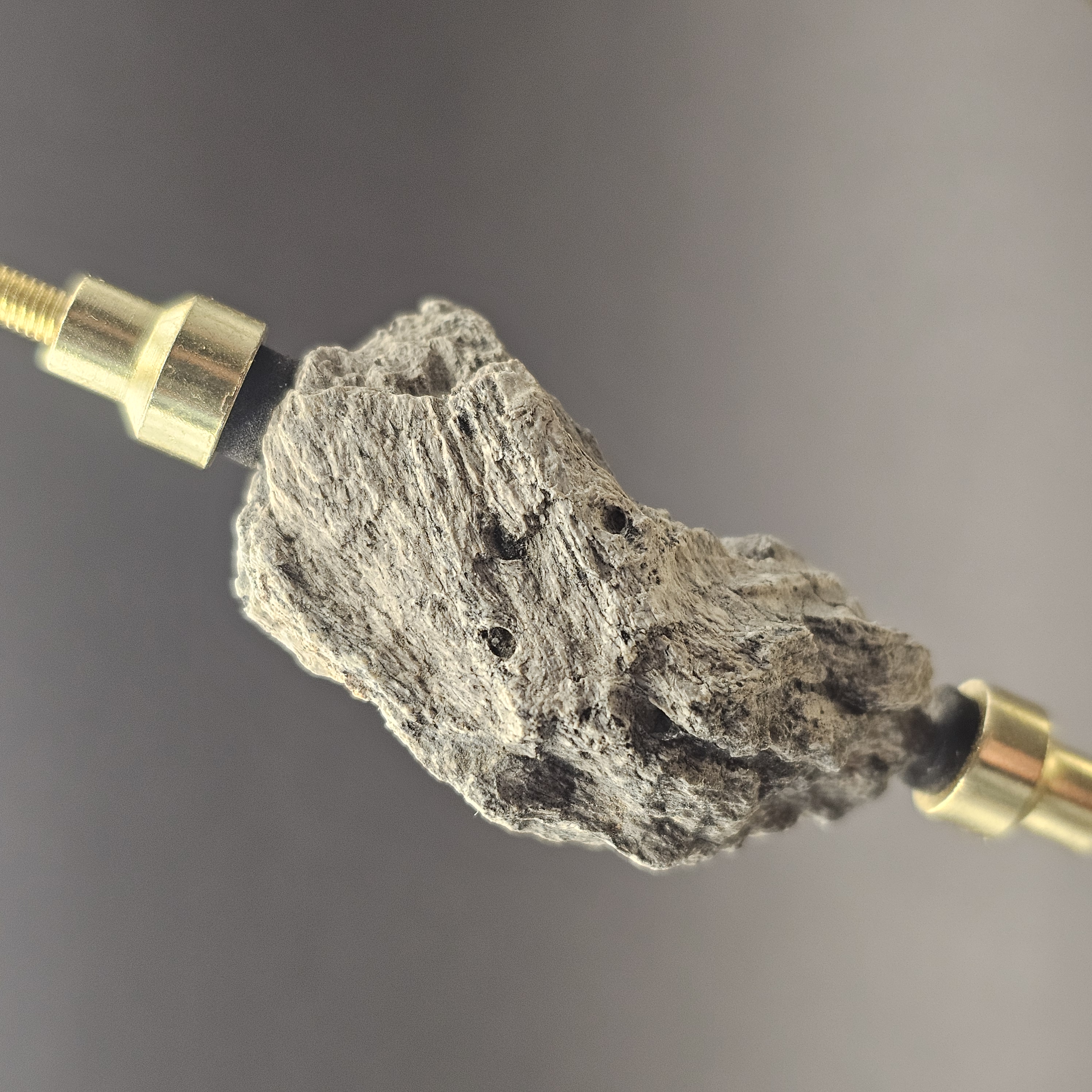Dinosaur Bone Fragment — view 3