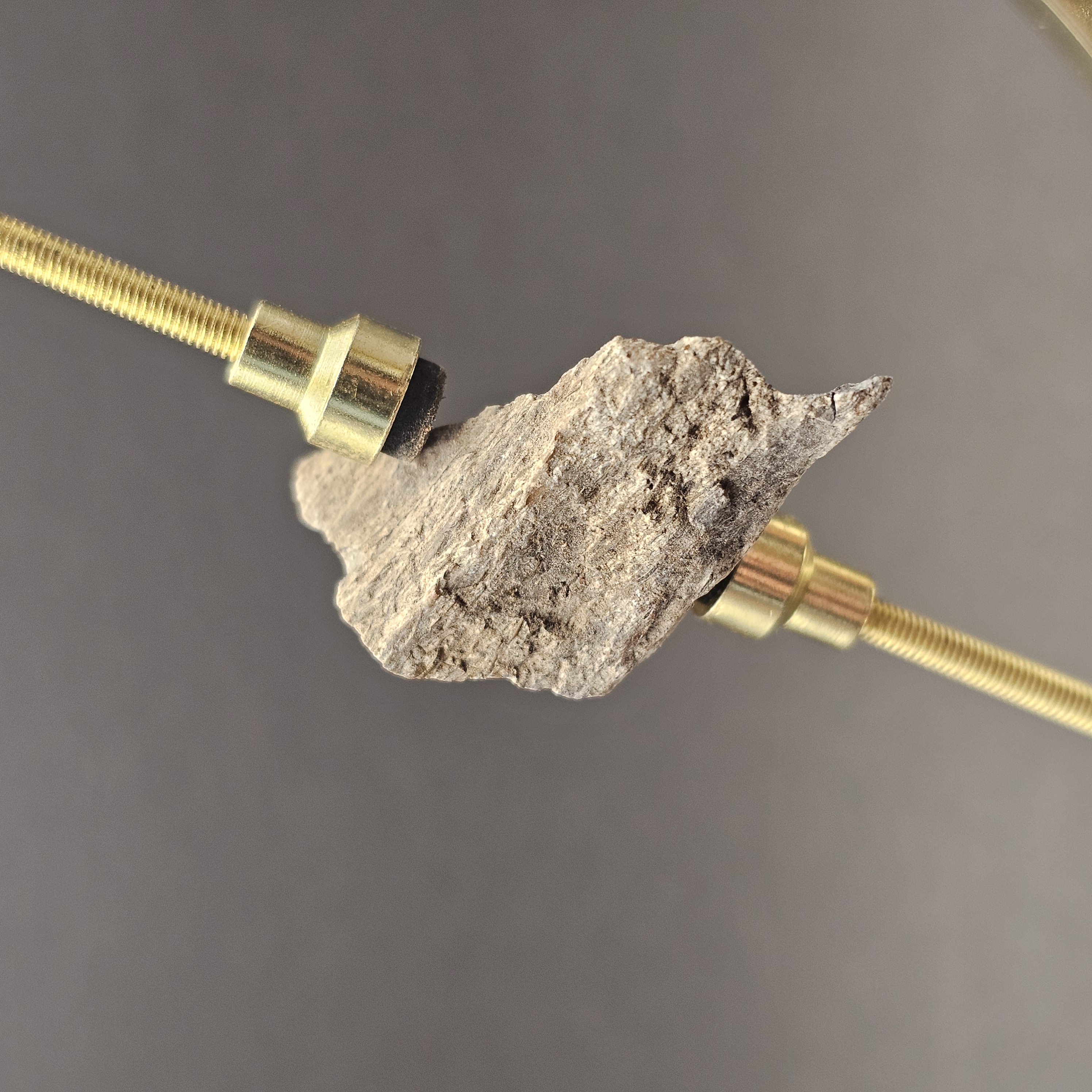Sauropod Bone Fragment — view 2