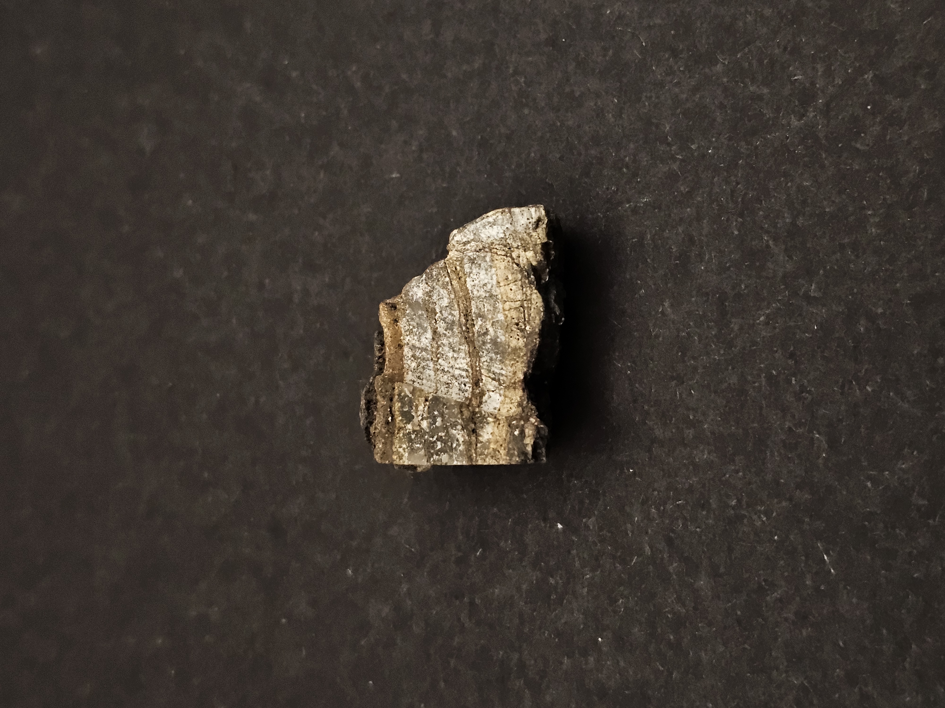 Dresser Formation Stromatolite Fragment — view 4