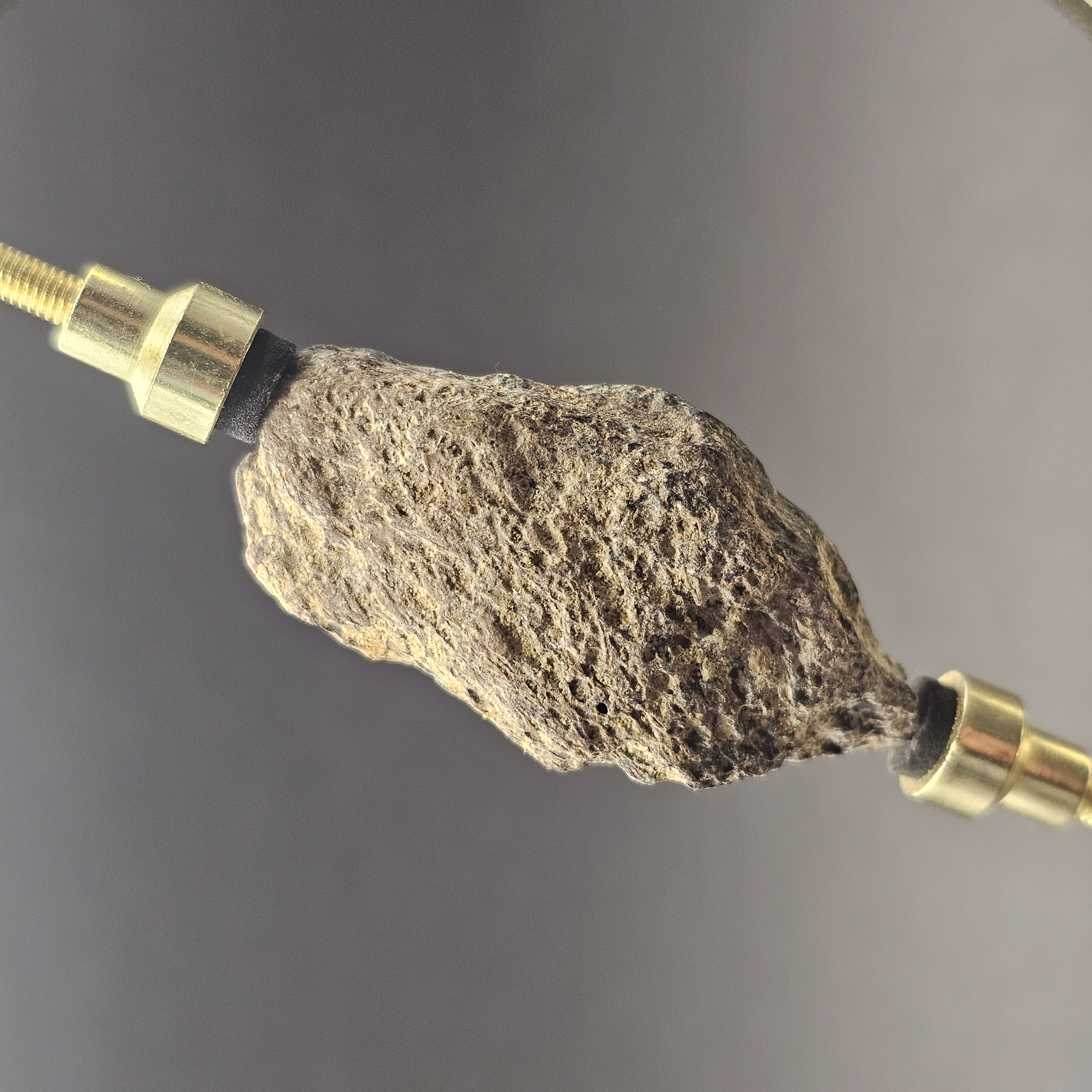 Dinosaur Bone Fragment — view 2