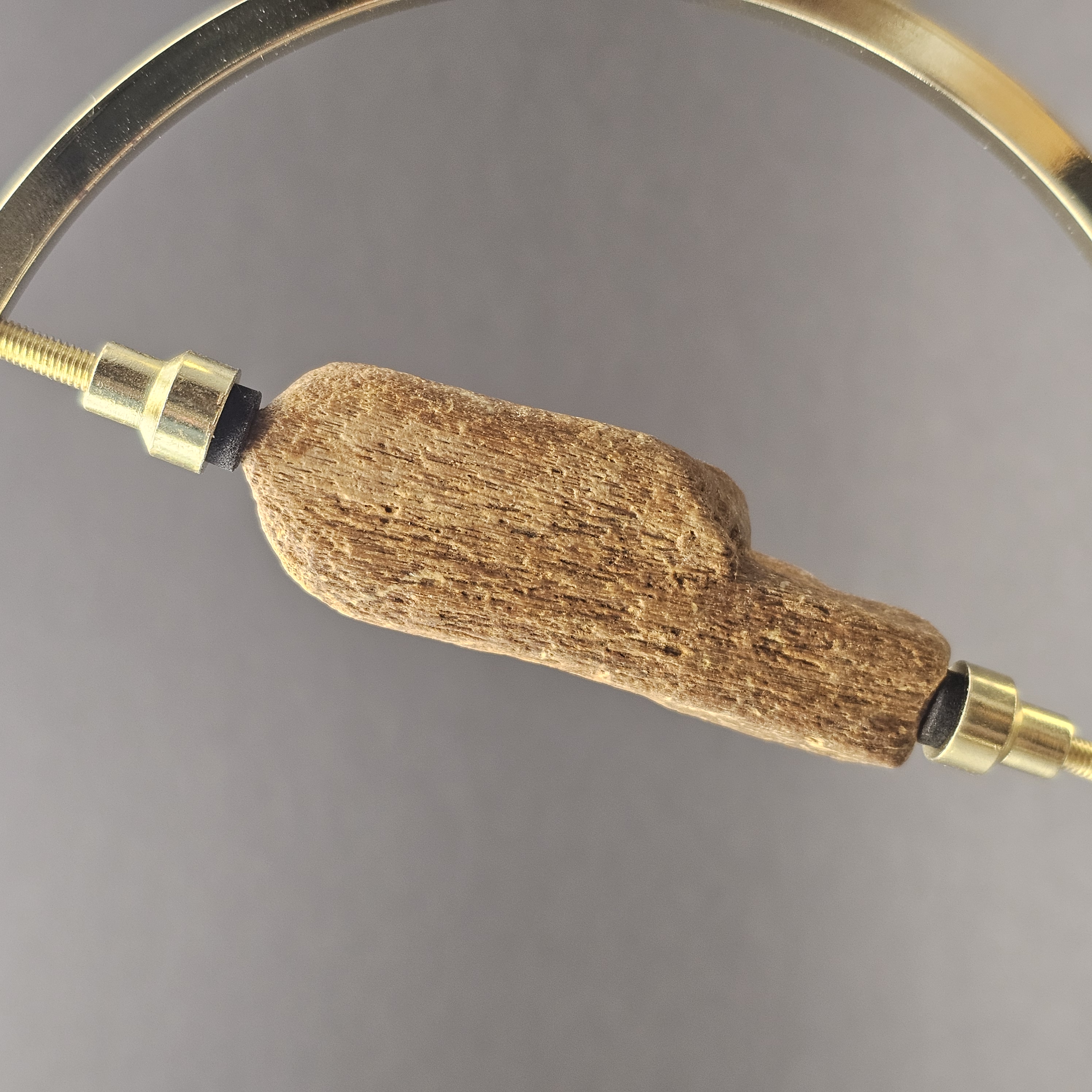 Plesiosaur Bone Fragment — view 1