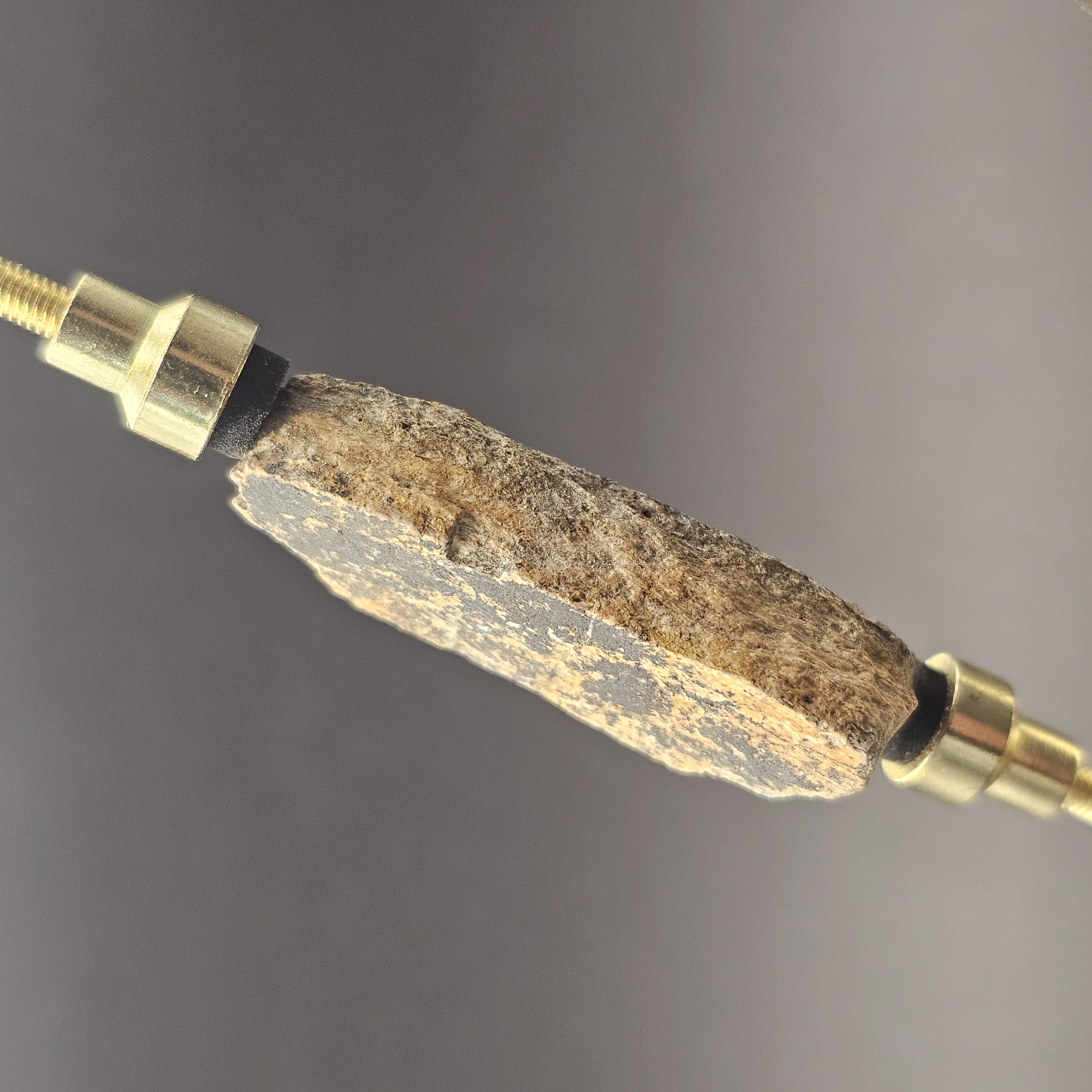 Dinosaur Bone Fragment — view 4