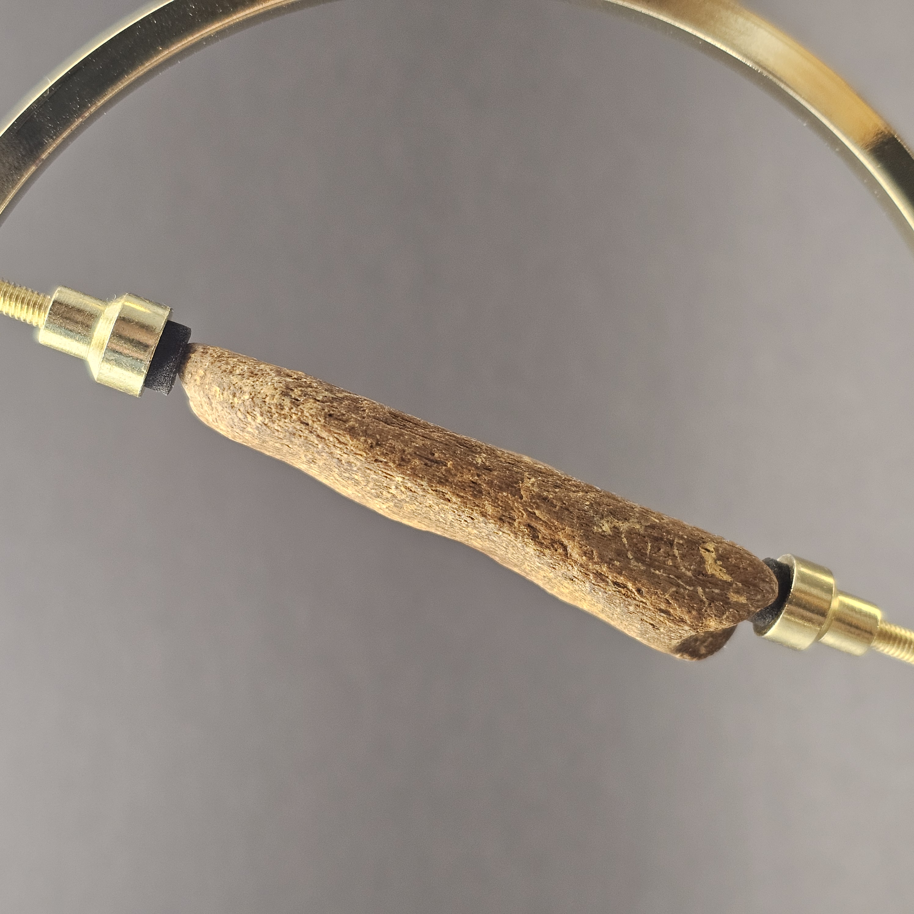 Plesiosaur Bone Fragment — view 2