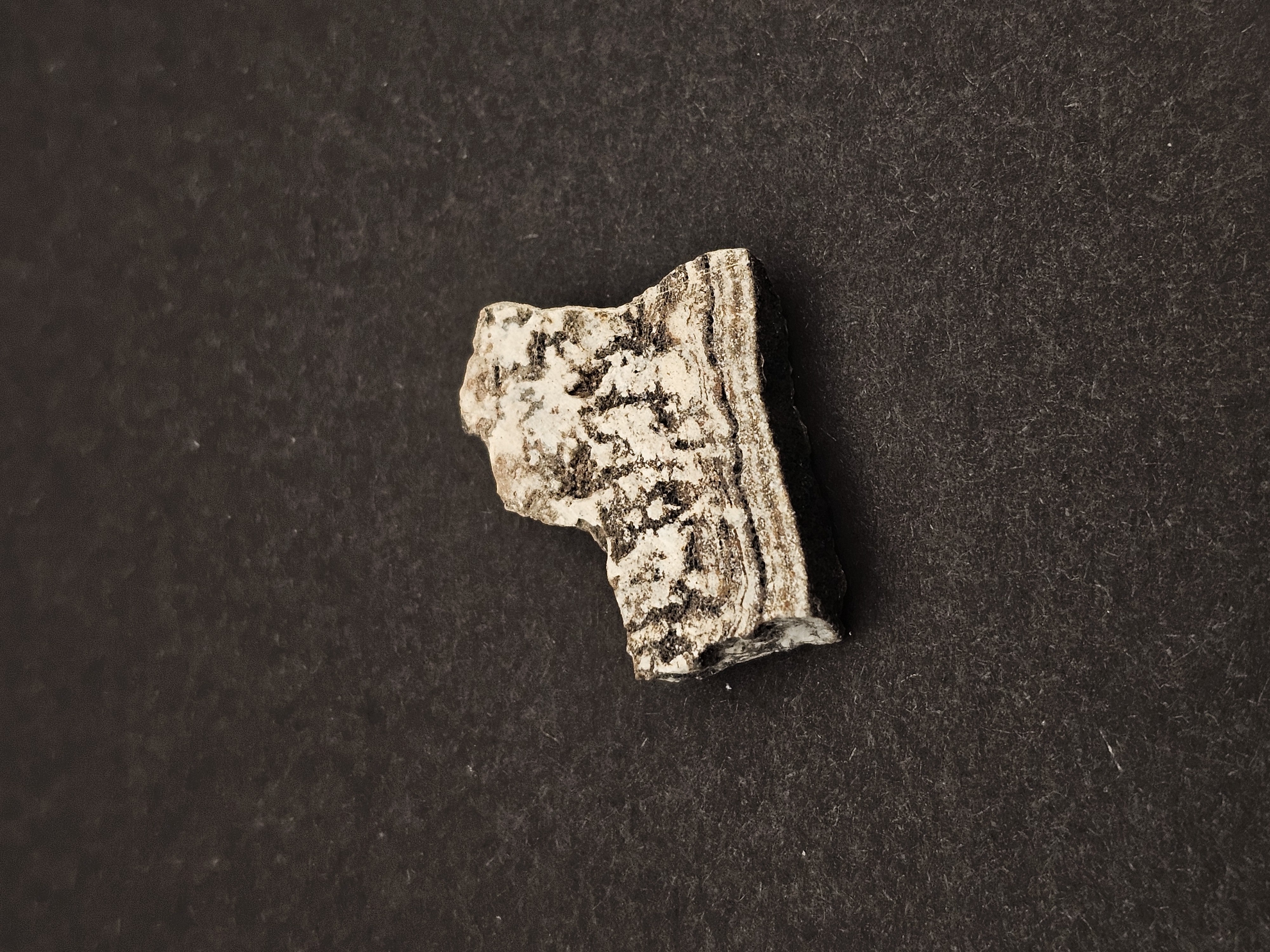 Dresser Formation Stromatolite Fragment — view 2