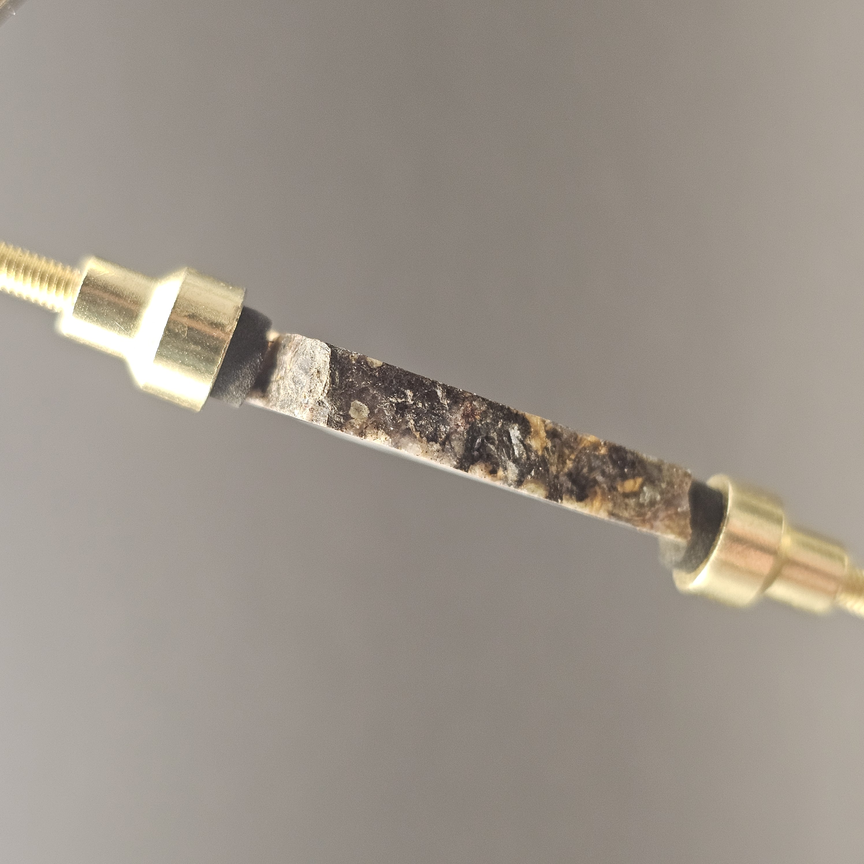 Atlasaurus Bone Slice — view 8