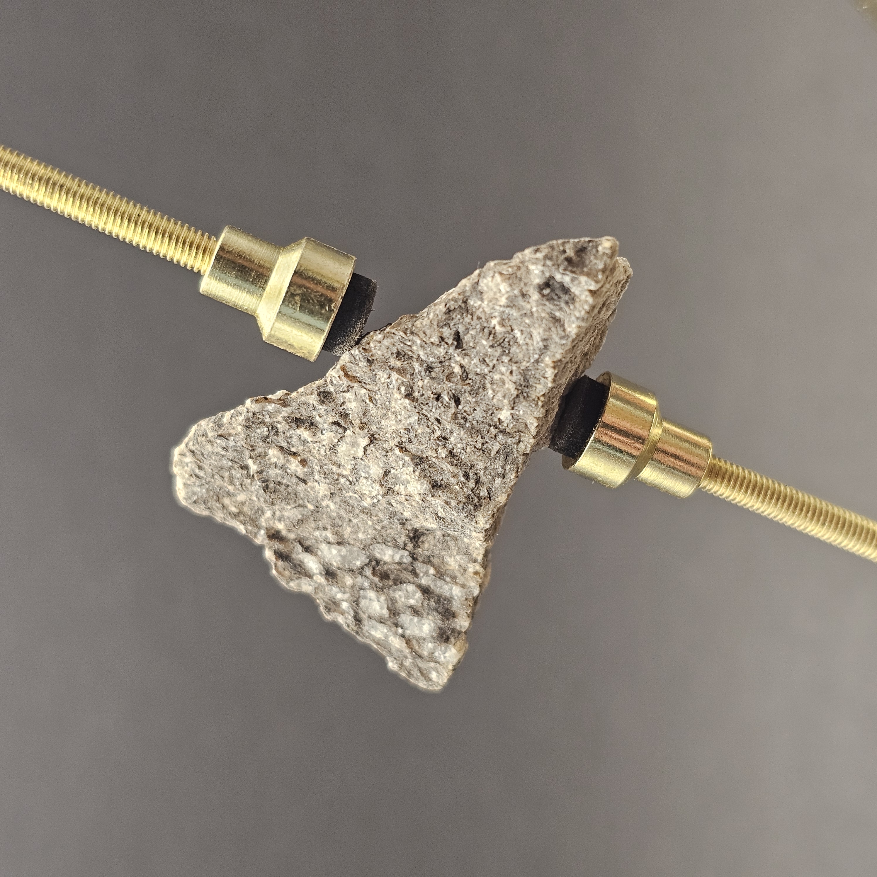 Sauropod Bone Fragment — view 6