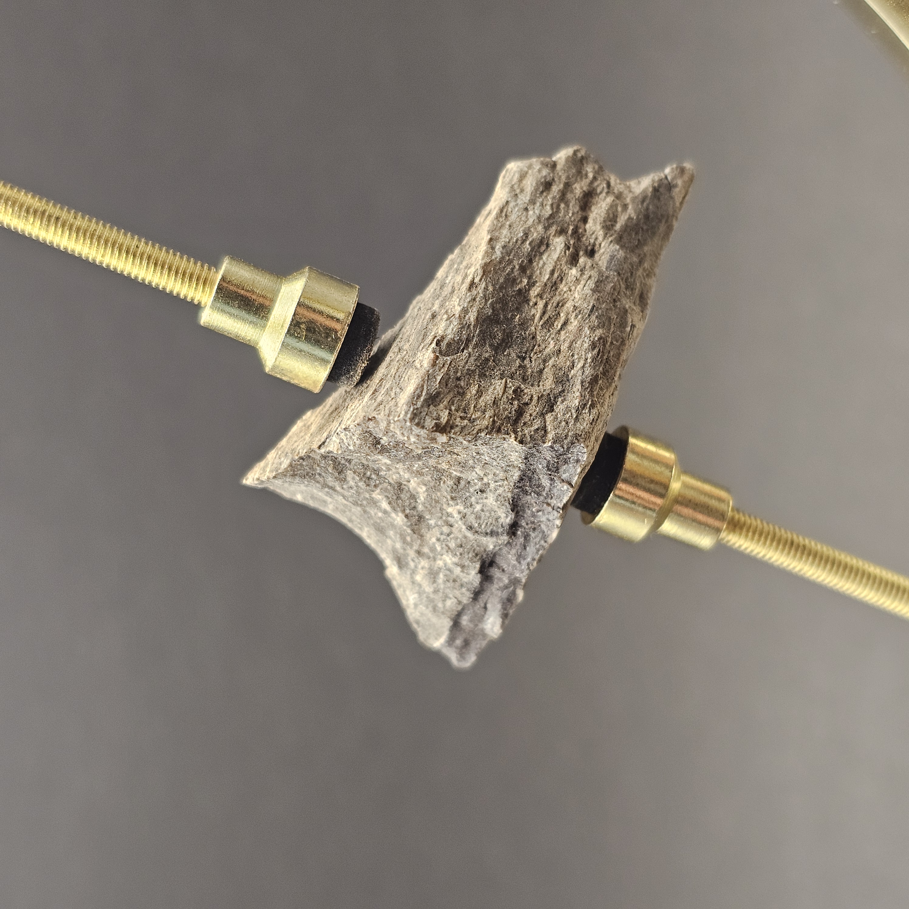 Sauropod Bone Fragment — view 3