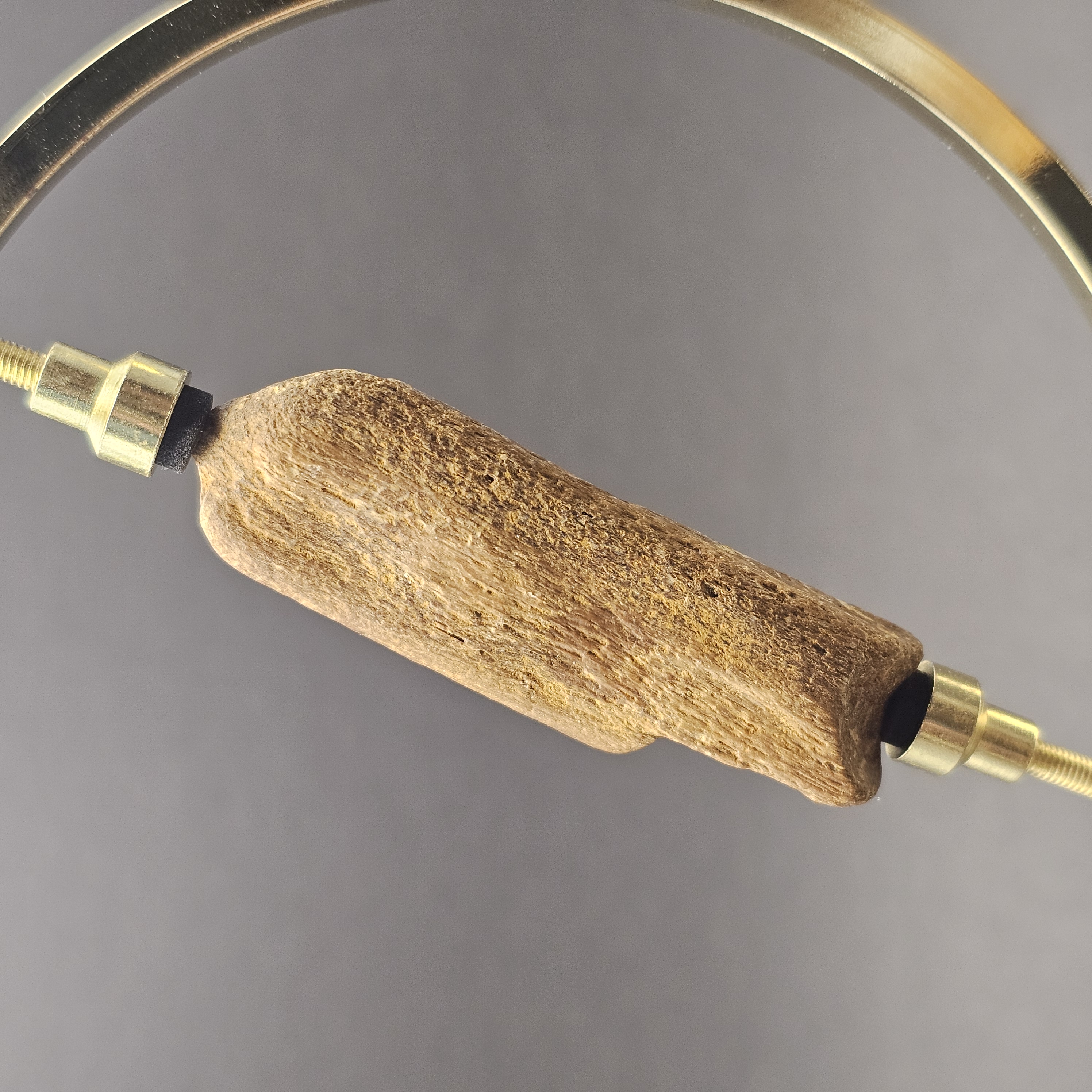 Plesiosaur Bone Fragment — view 3