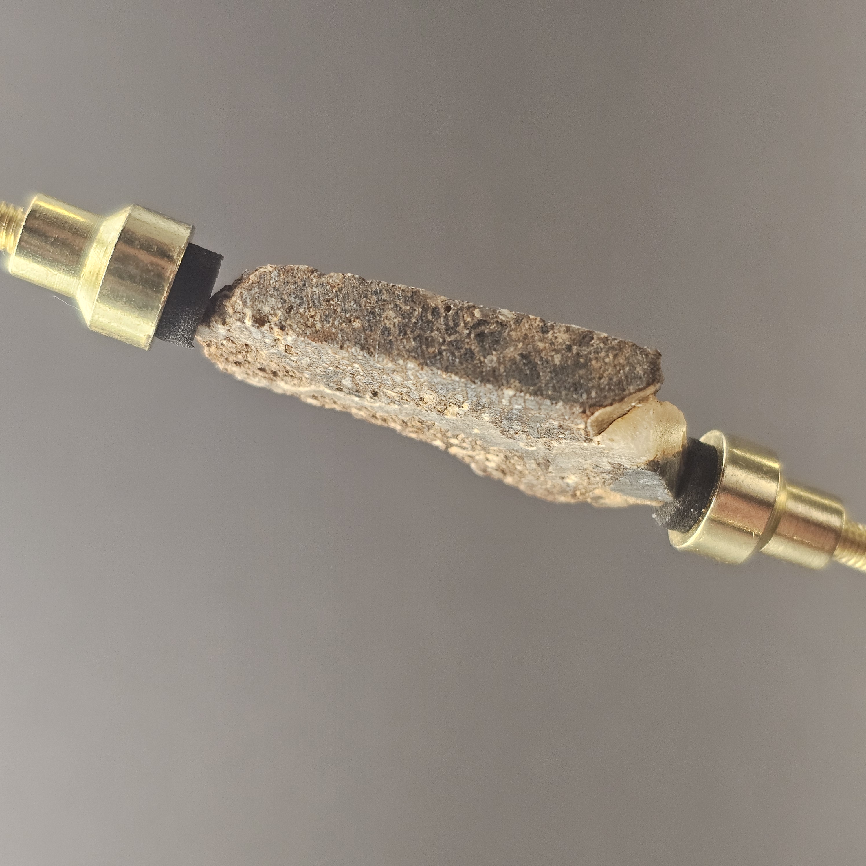 Atlasaurus Bone Slice — view 4
