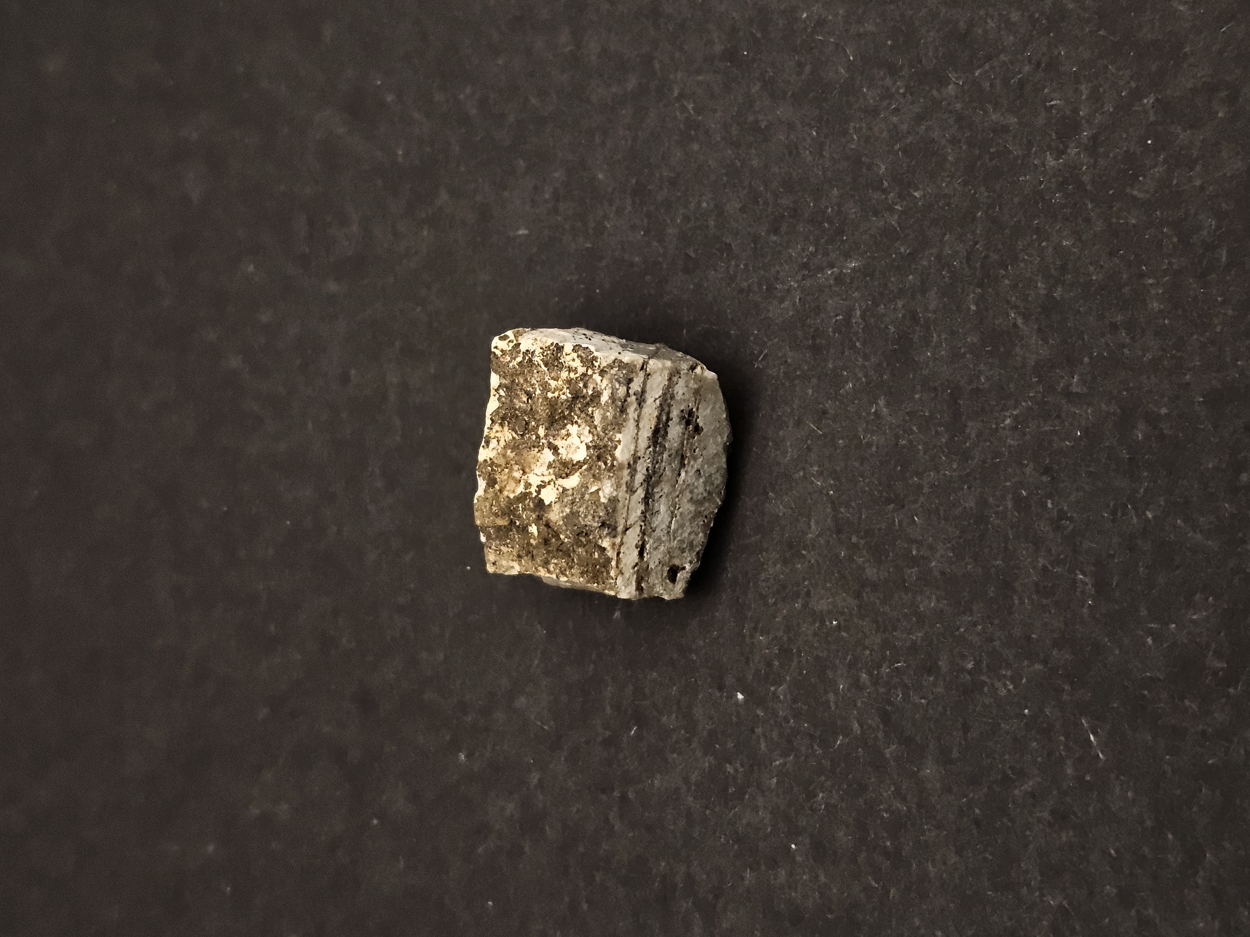 Dresser Formation Stromatolite Fragment — view 5