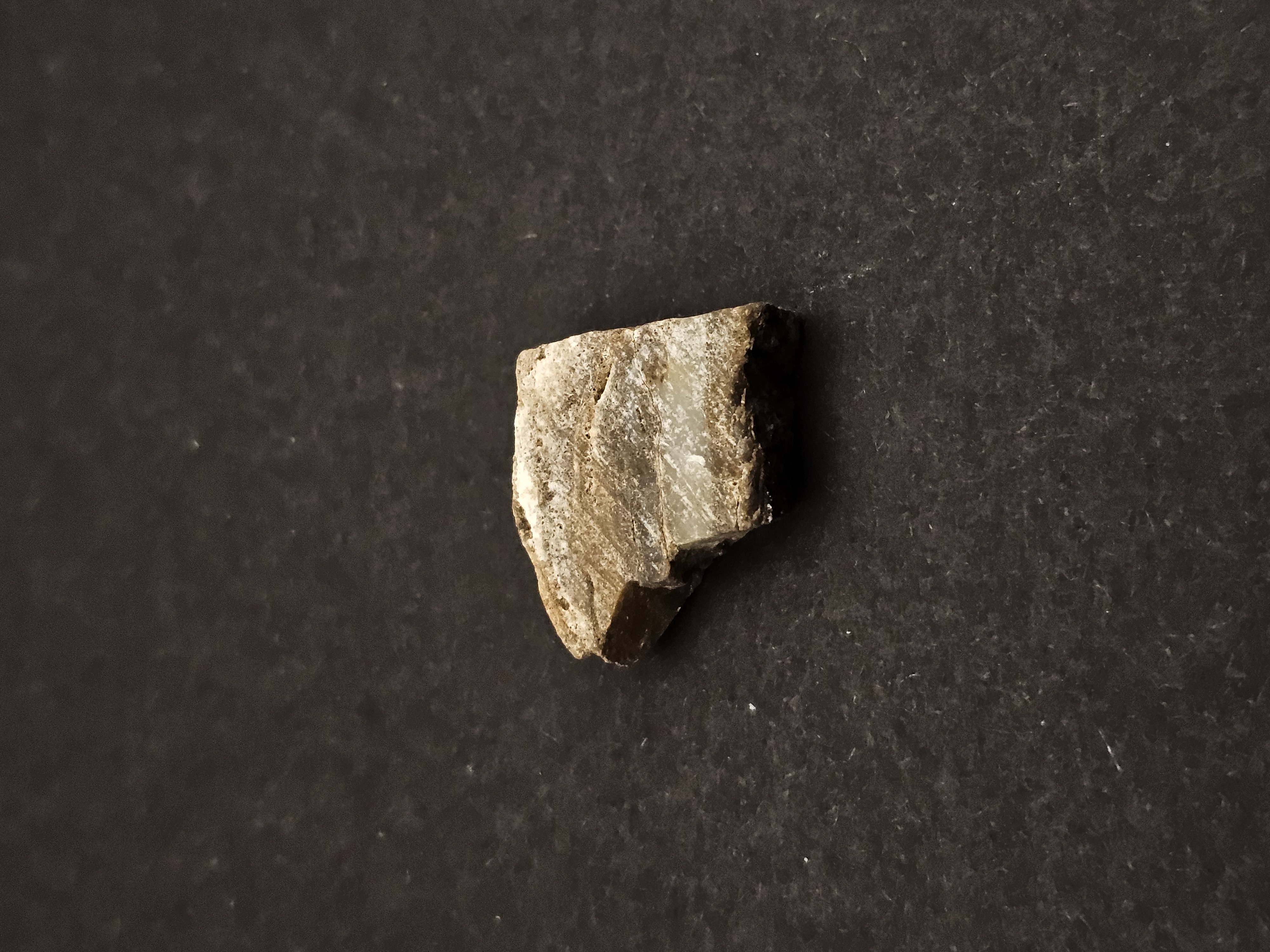 Dresser Formation Stromatolite Fragment — view 6