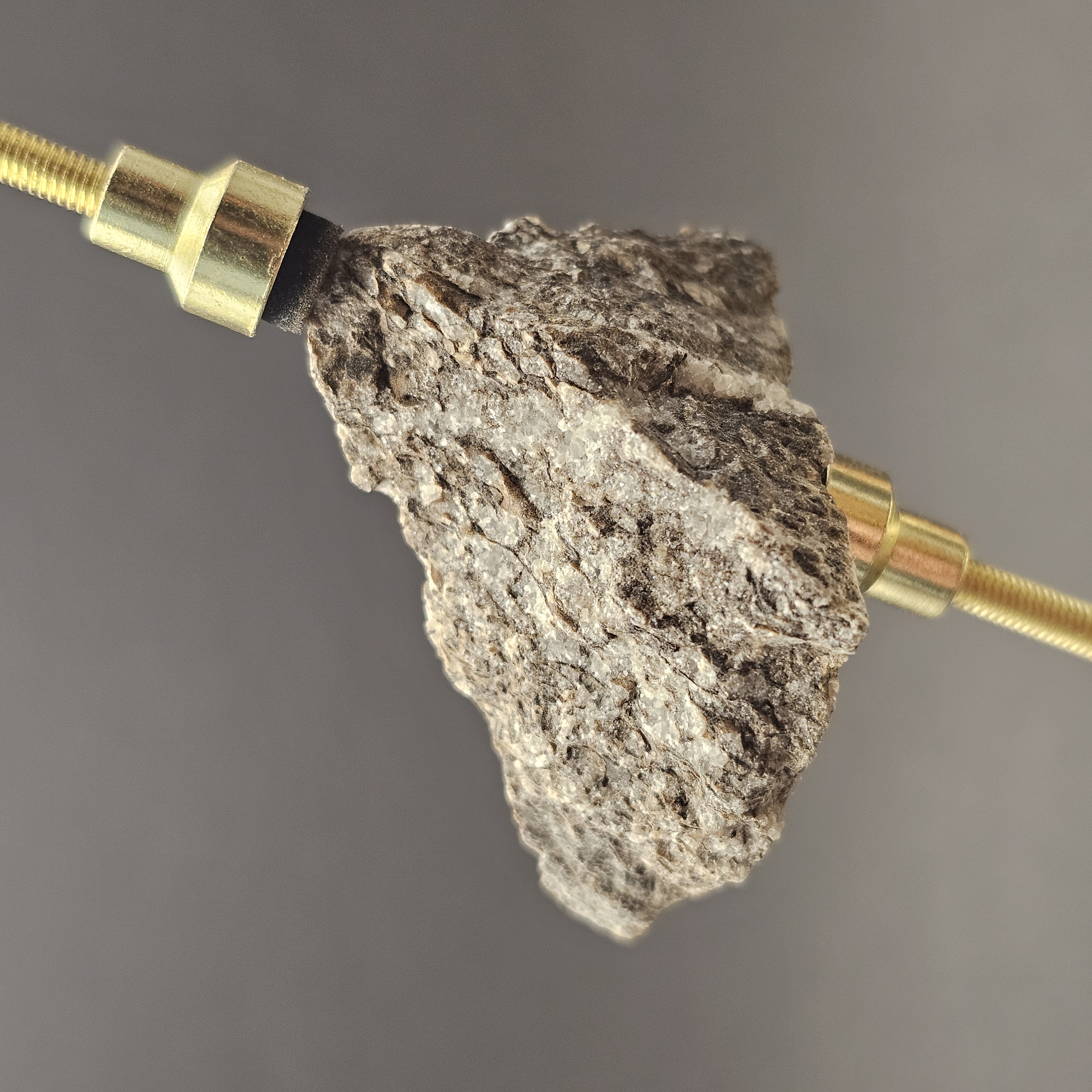 Sauropod Bone Fragment — view 7