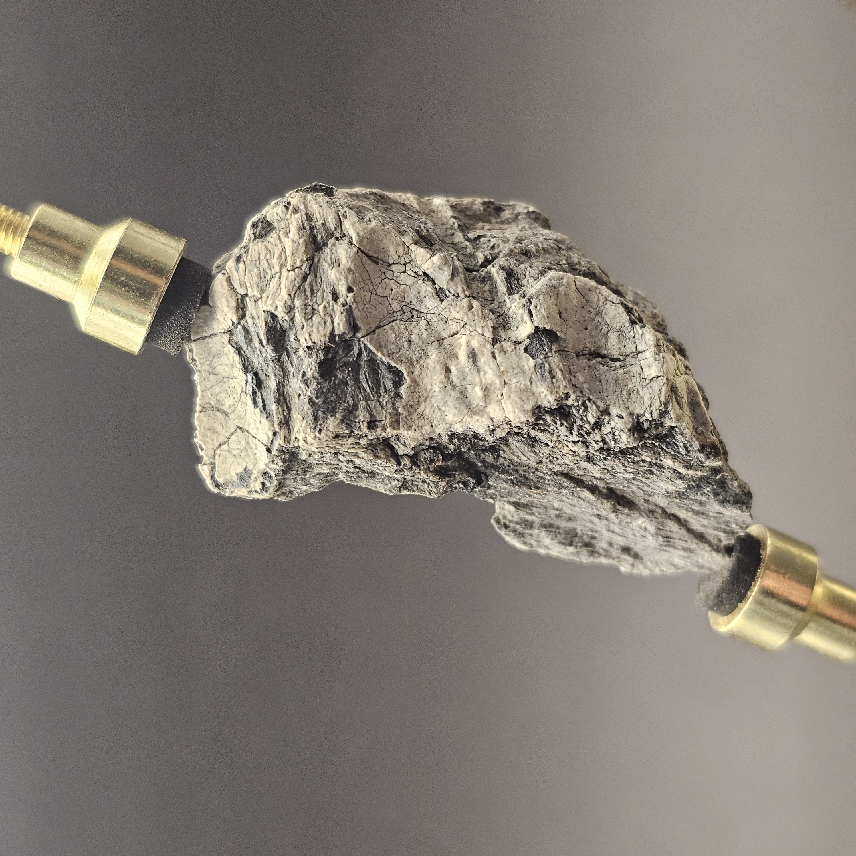 Dinosaur Bone Fragment — view 6