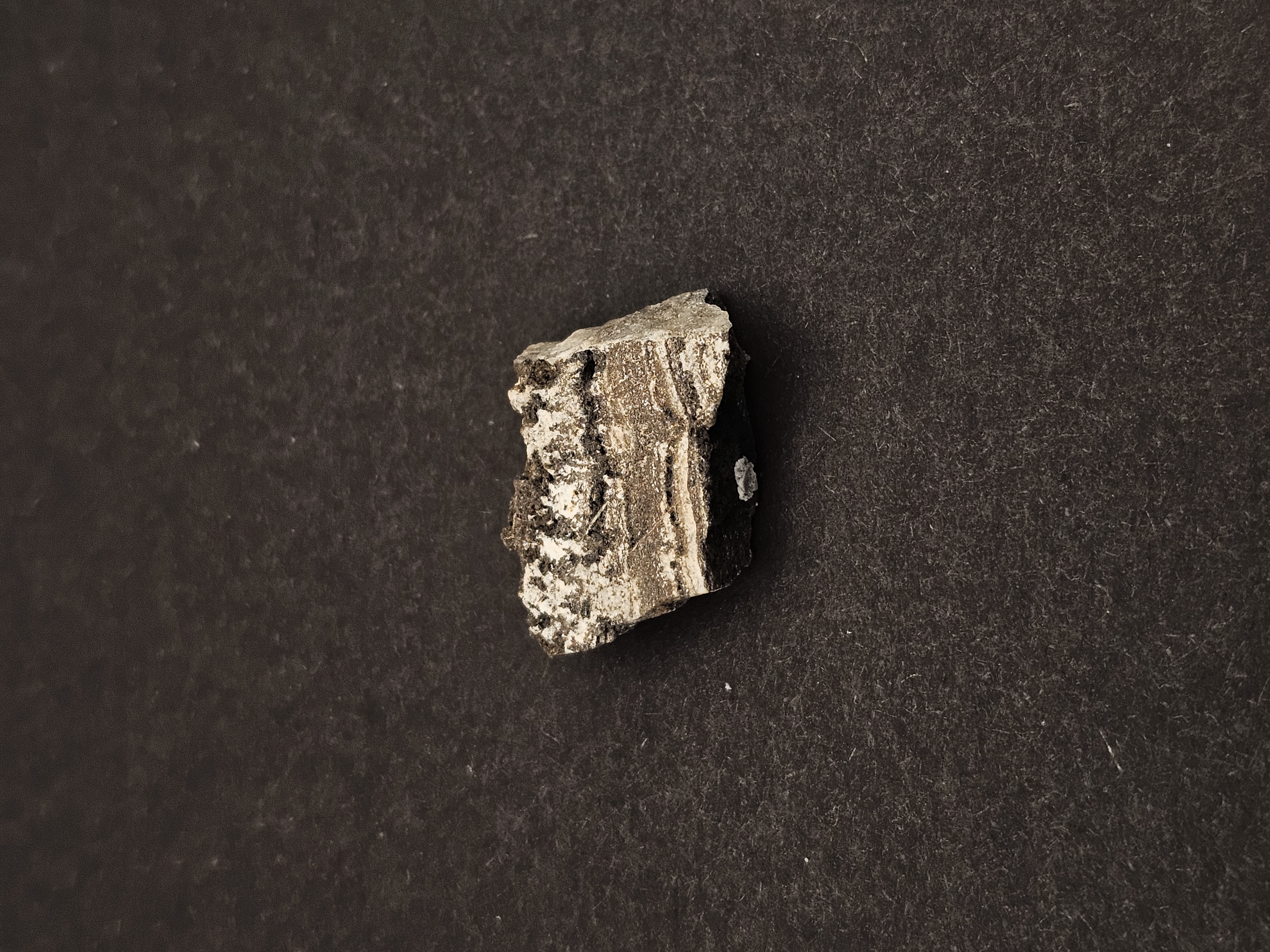 Dresser Formation Stromatolite Fragment — view 3