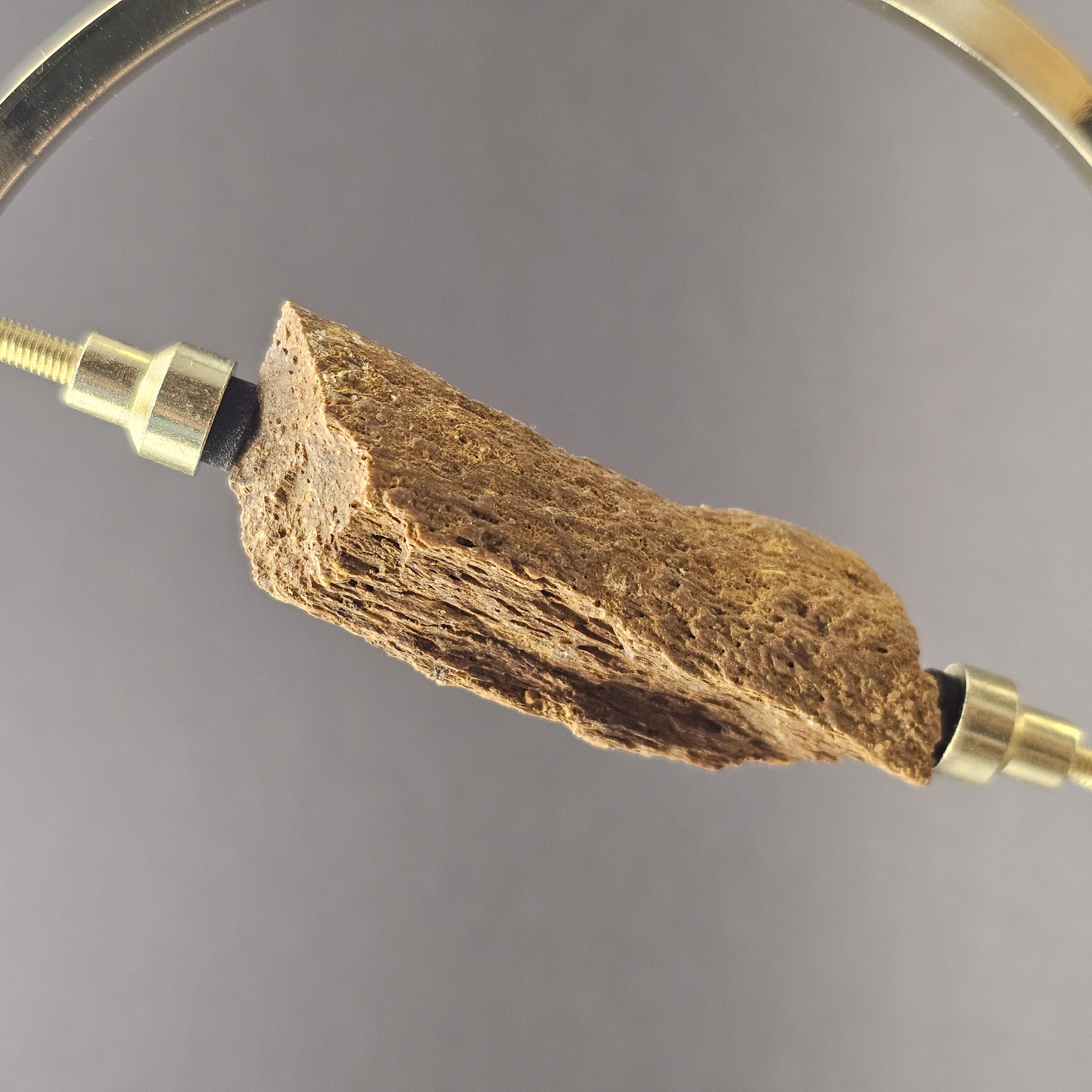 Plesiosaur Bone Fragment — view 4