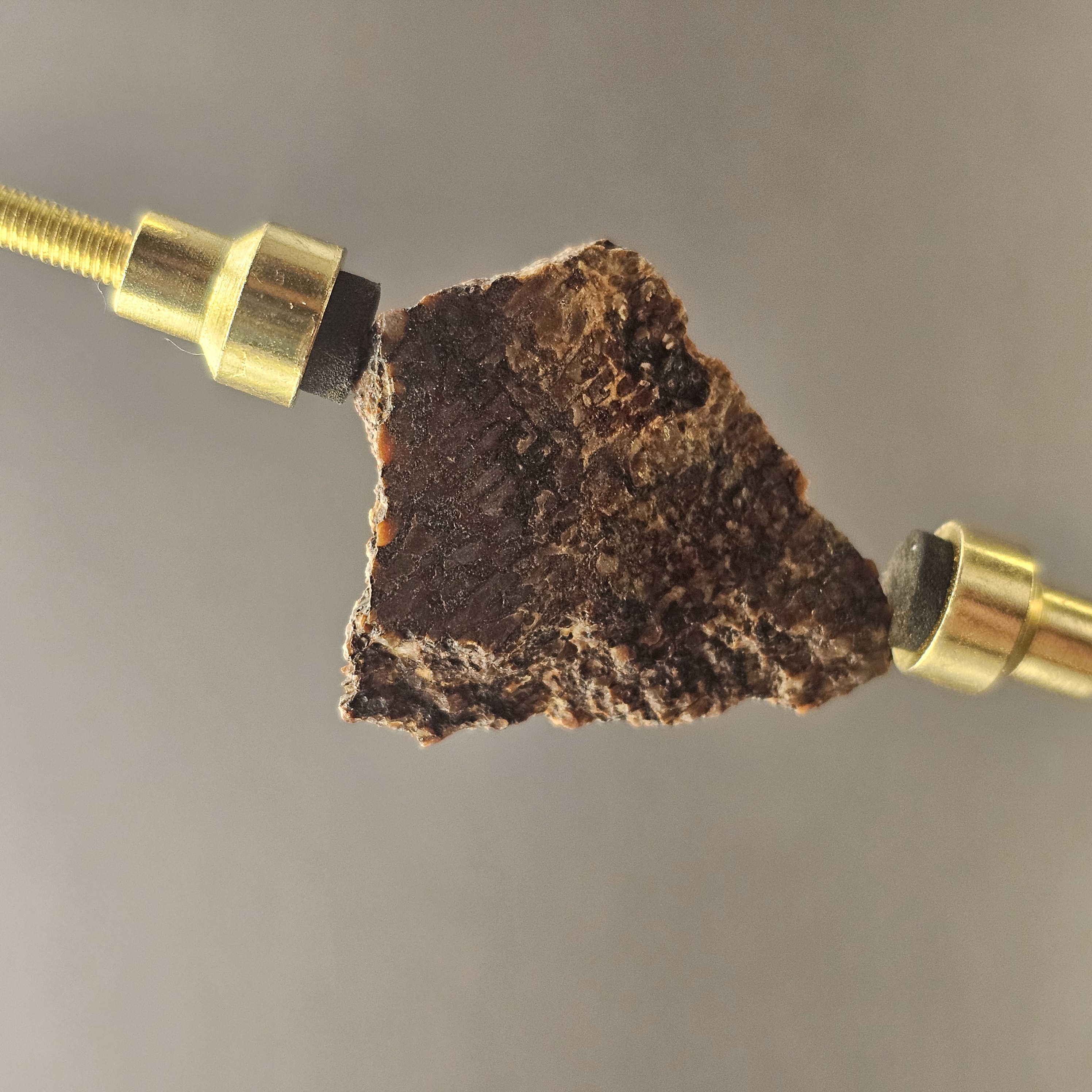Atlasaurus Bone Slice — view 6