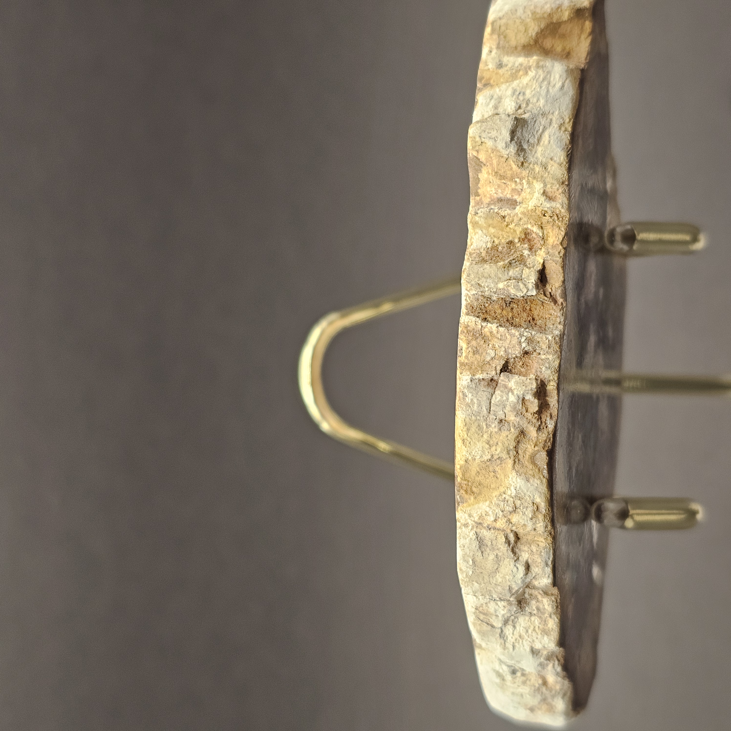Polished Triassic Petrified Wood Slice from Madagascar — view 6