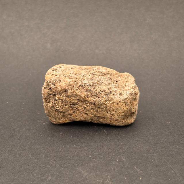 Morrison Formation Dinosaur Bone Fragment — view 2