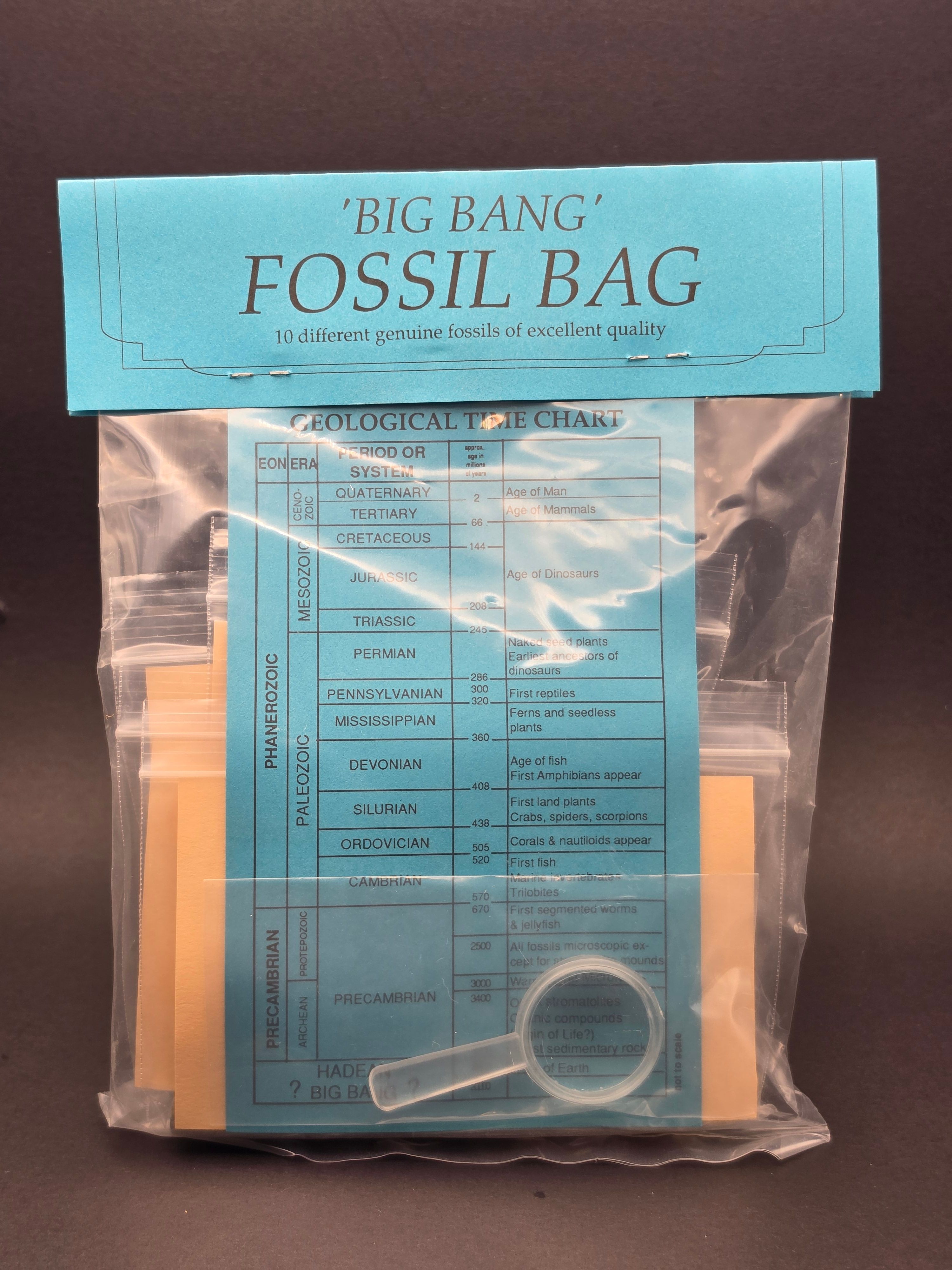 Big Bang Fossil Bundle Bag – 10 Genuine Fossil Specimens — view 2