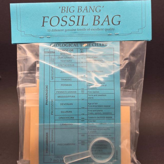 Big Bang Fossil Bundle Bag – 10 Genuine Fossil Specimens — view 2