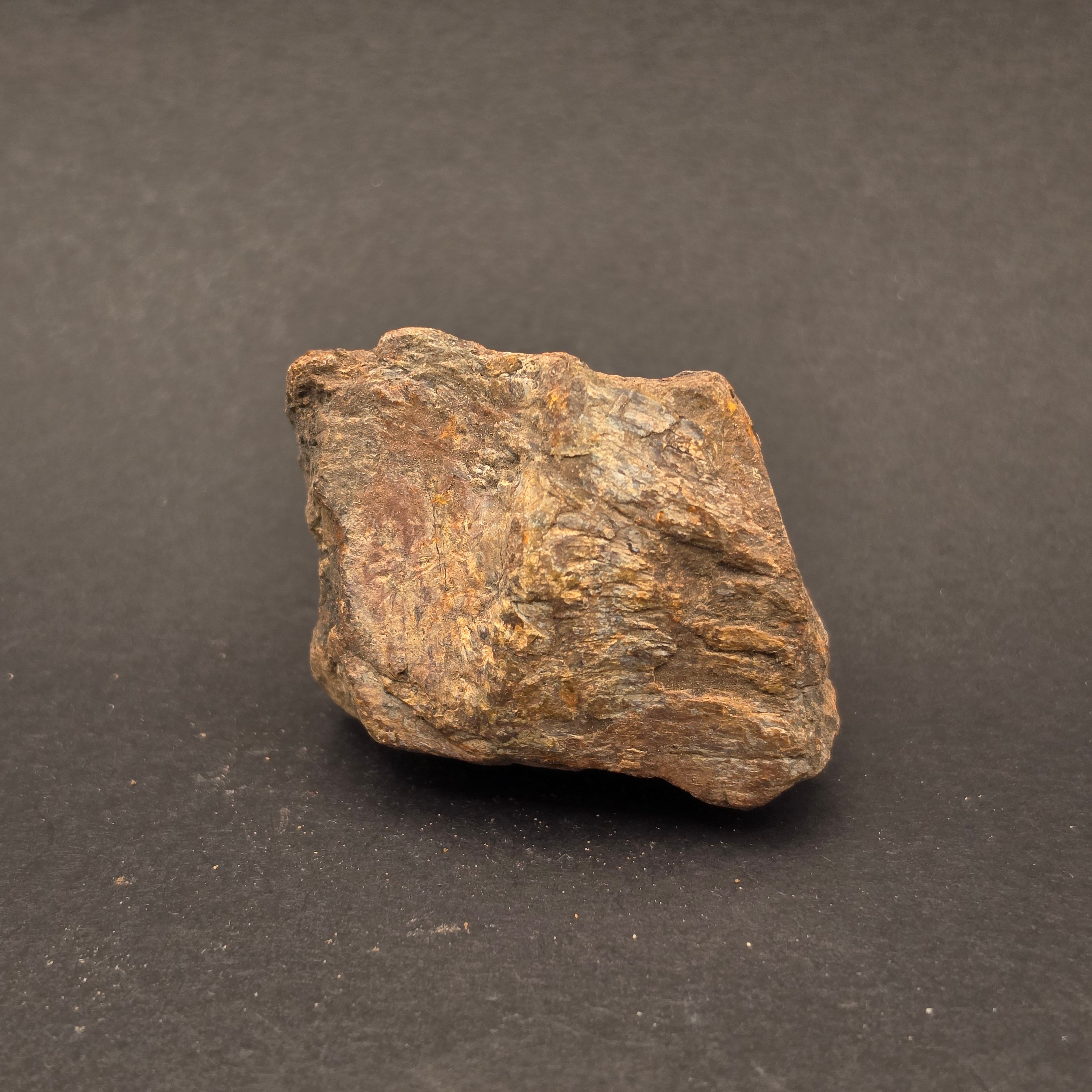 Morrison Formation Dinosaur Bone Fragment — view 7