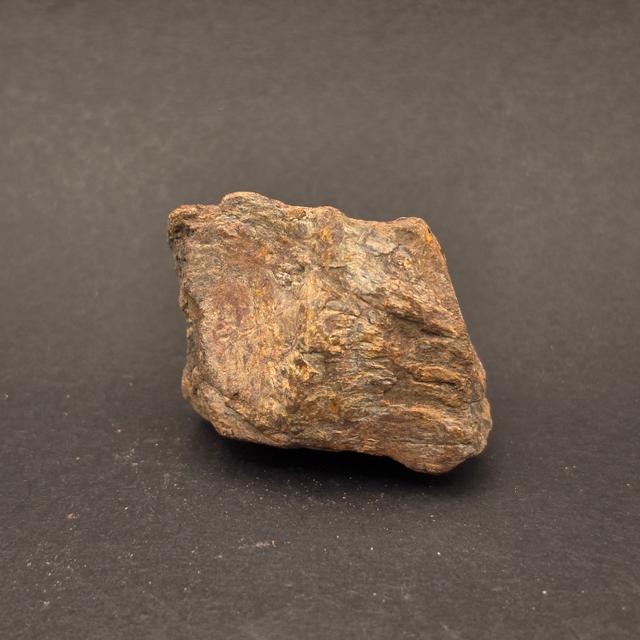 Morrison Formation Dinosaur Bone Fragment — view 7