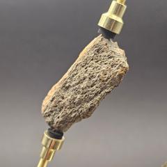 Dinosaur Bone Fragment