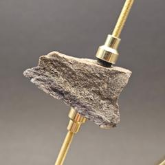 Sauropod Bone Fragment