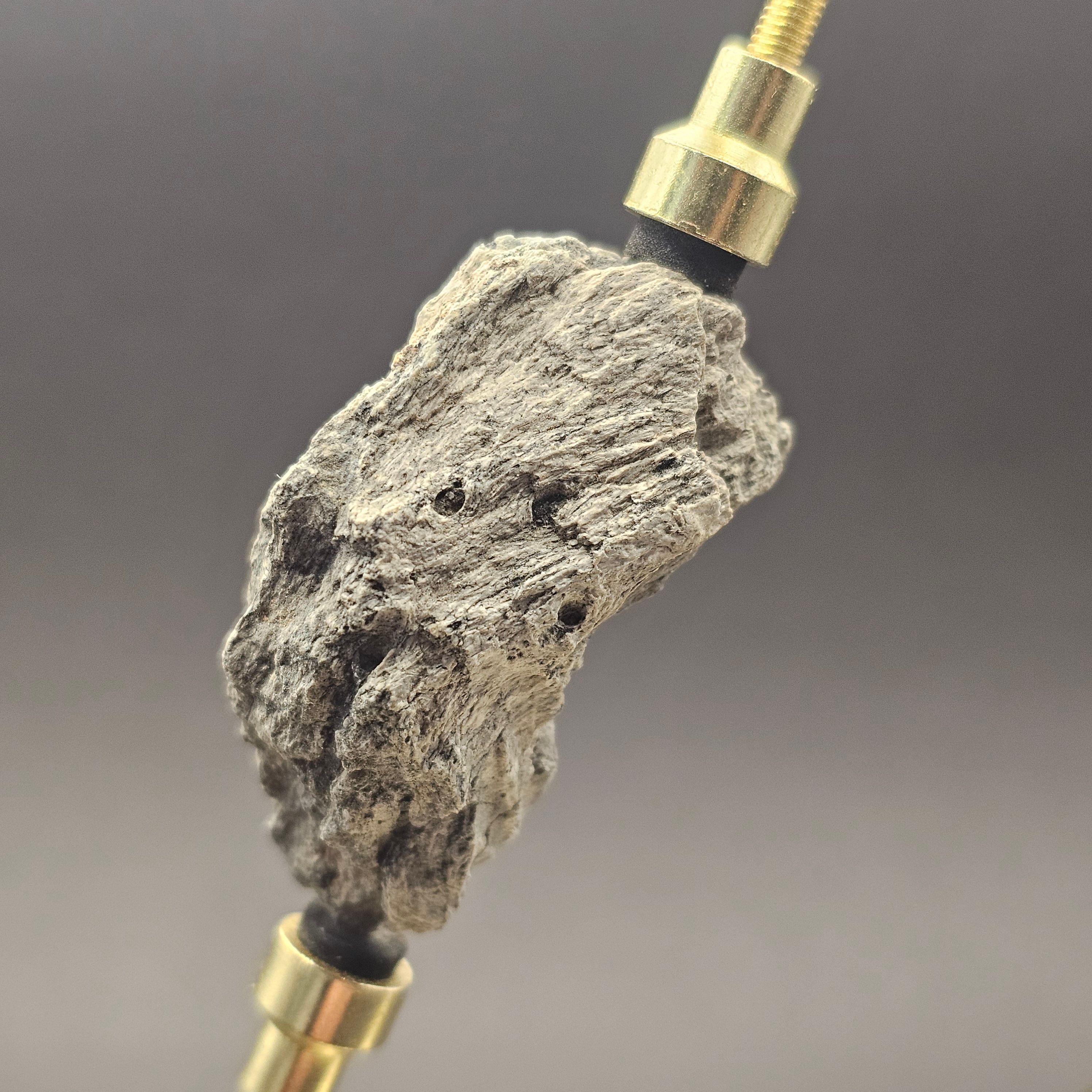 Dinosaur Bone Fragment — view 3