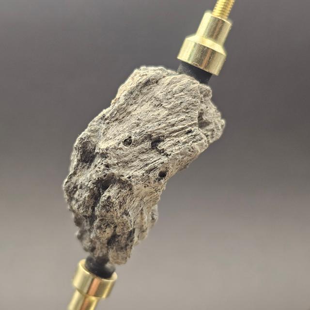 Dinosaur Bone Fragment — view 3