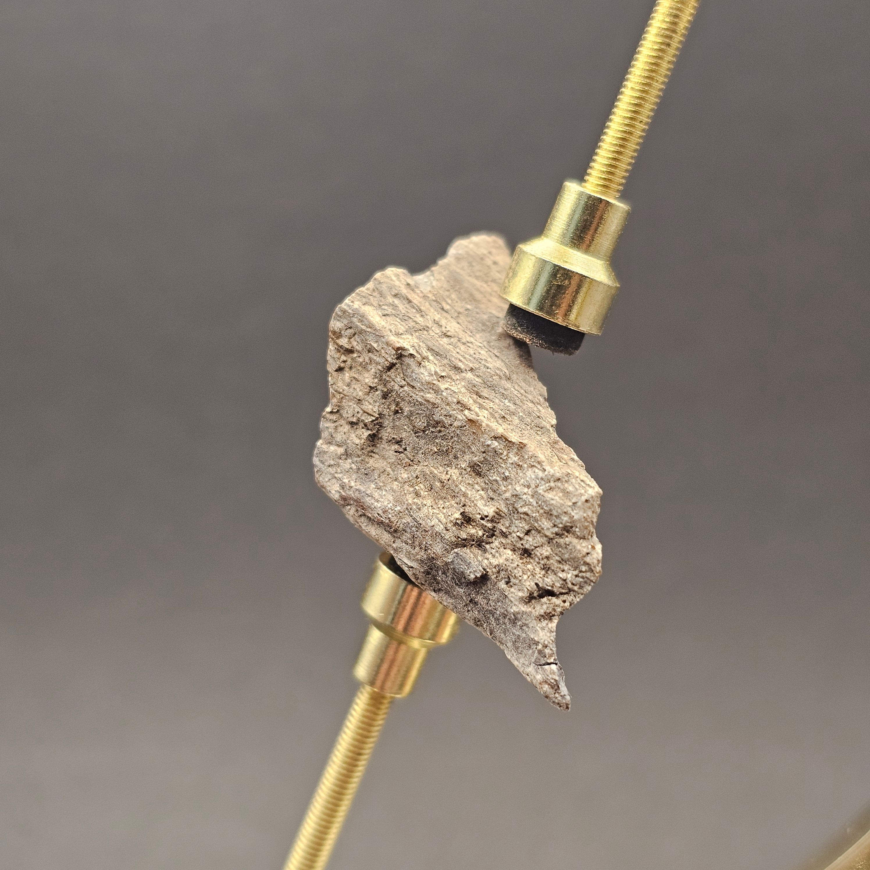 Sauropod Bone Fragment — view 2