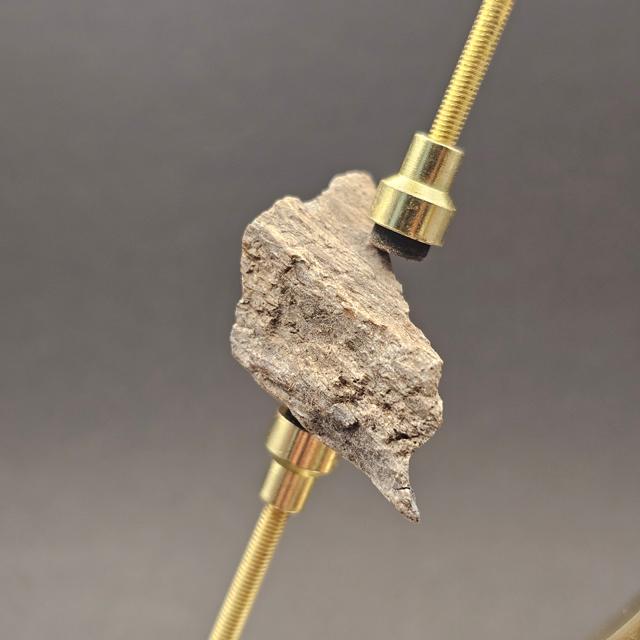 Sauropod Bone Fragment — view 2