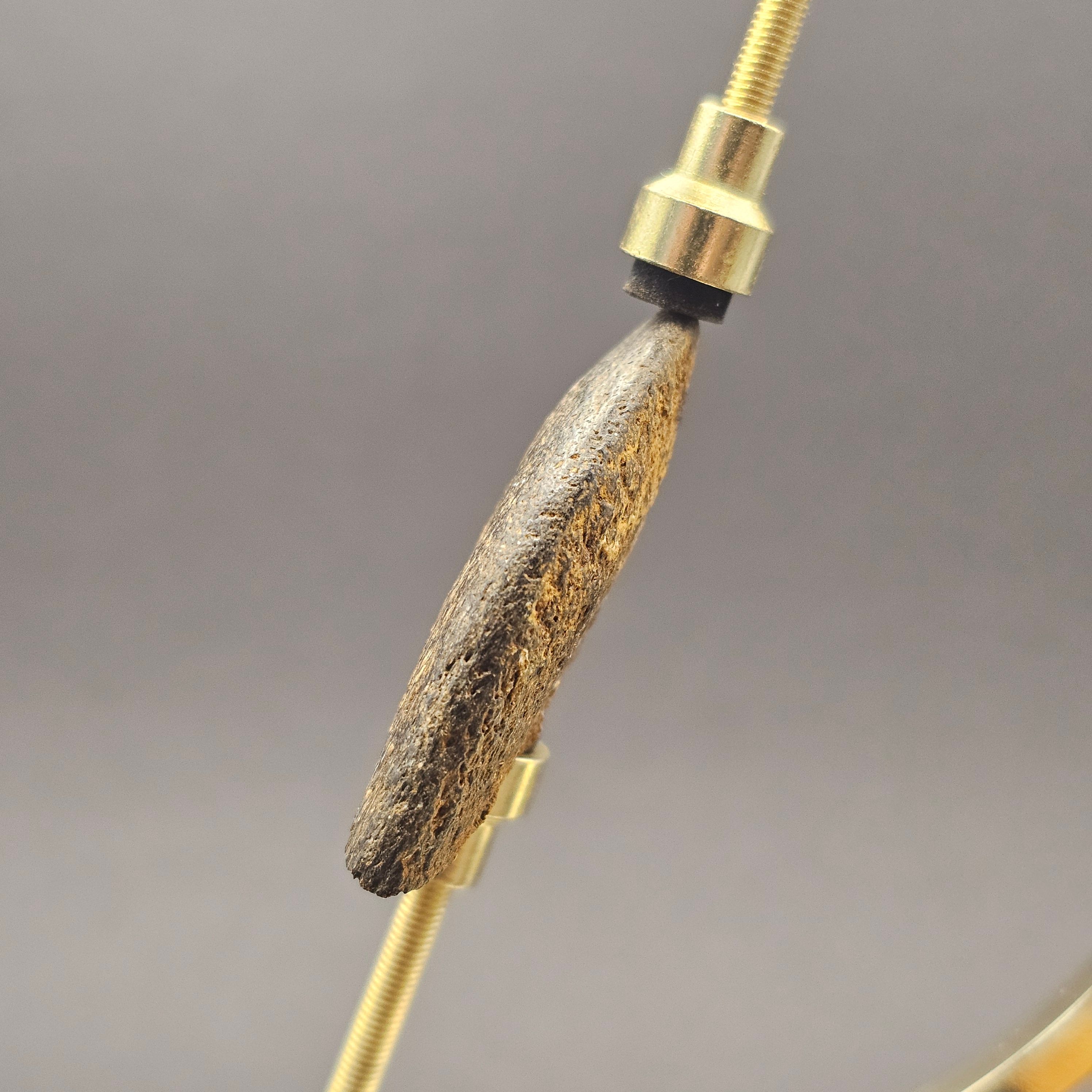 Plesiosaur Bone Fragment — view 7