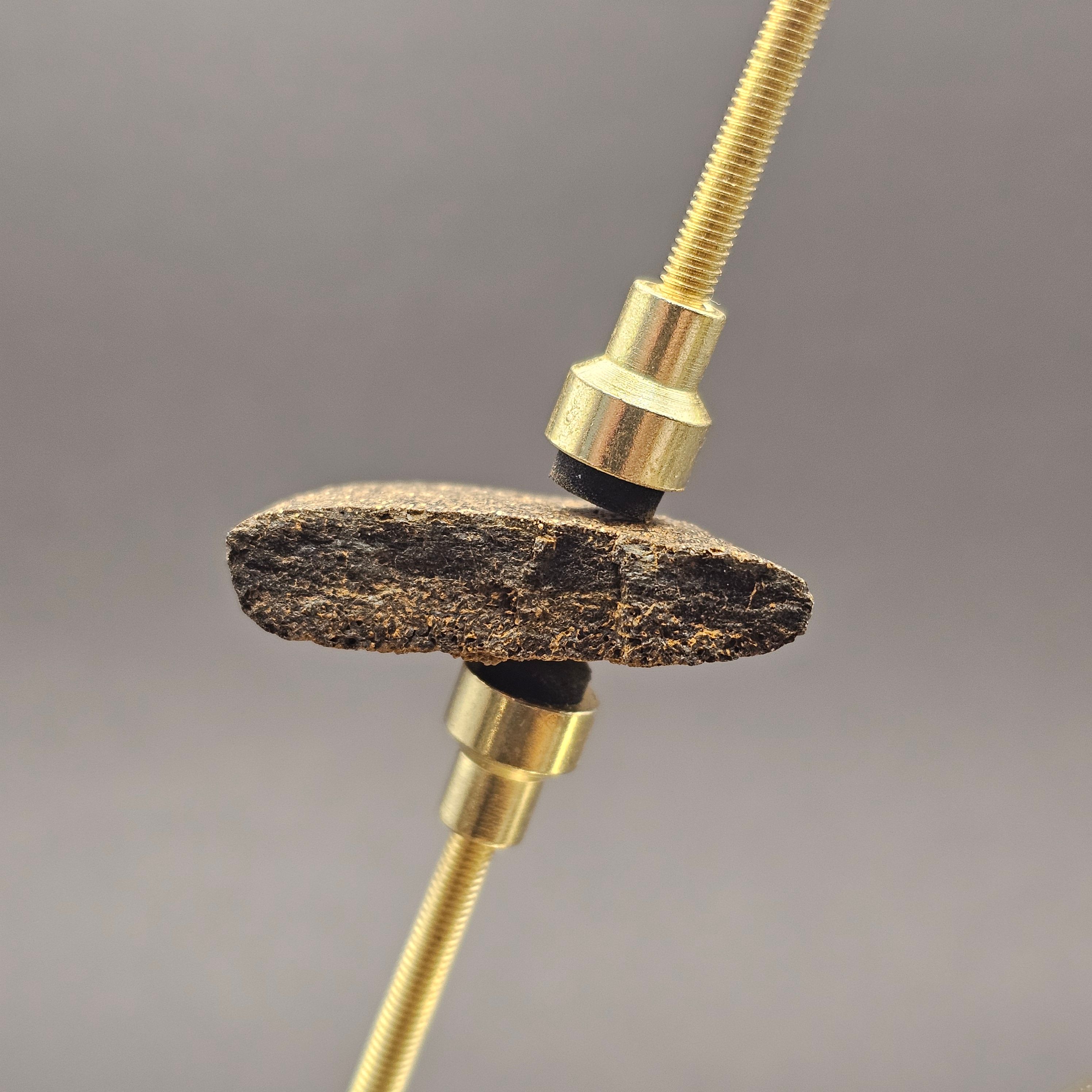 Plesiosaur Bone Fragment — view 8