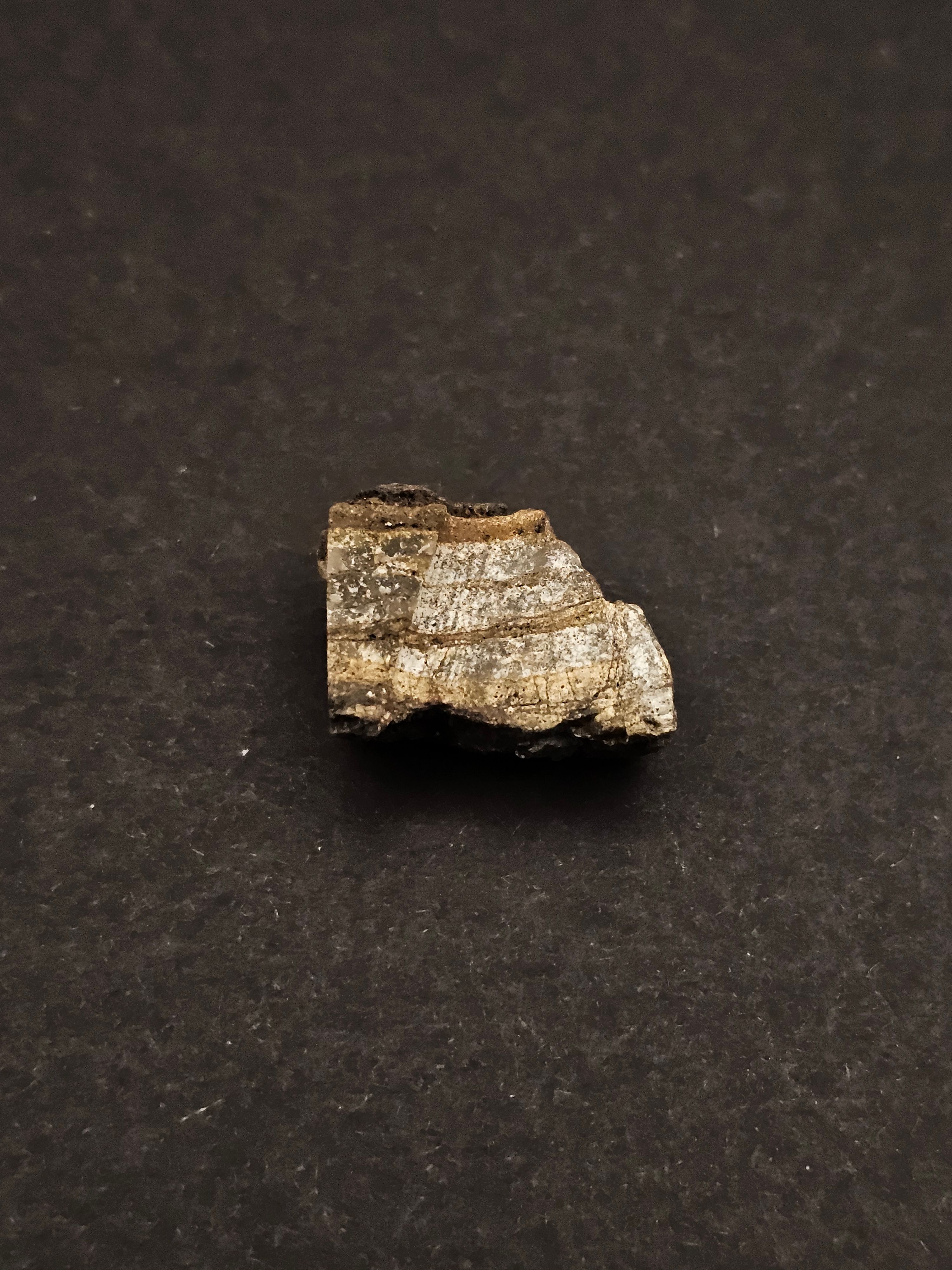 Dresser Formation Stromatolite Fragment — view 4