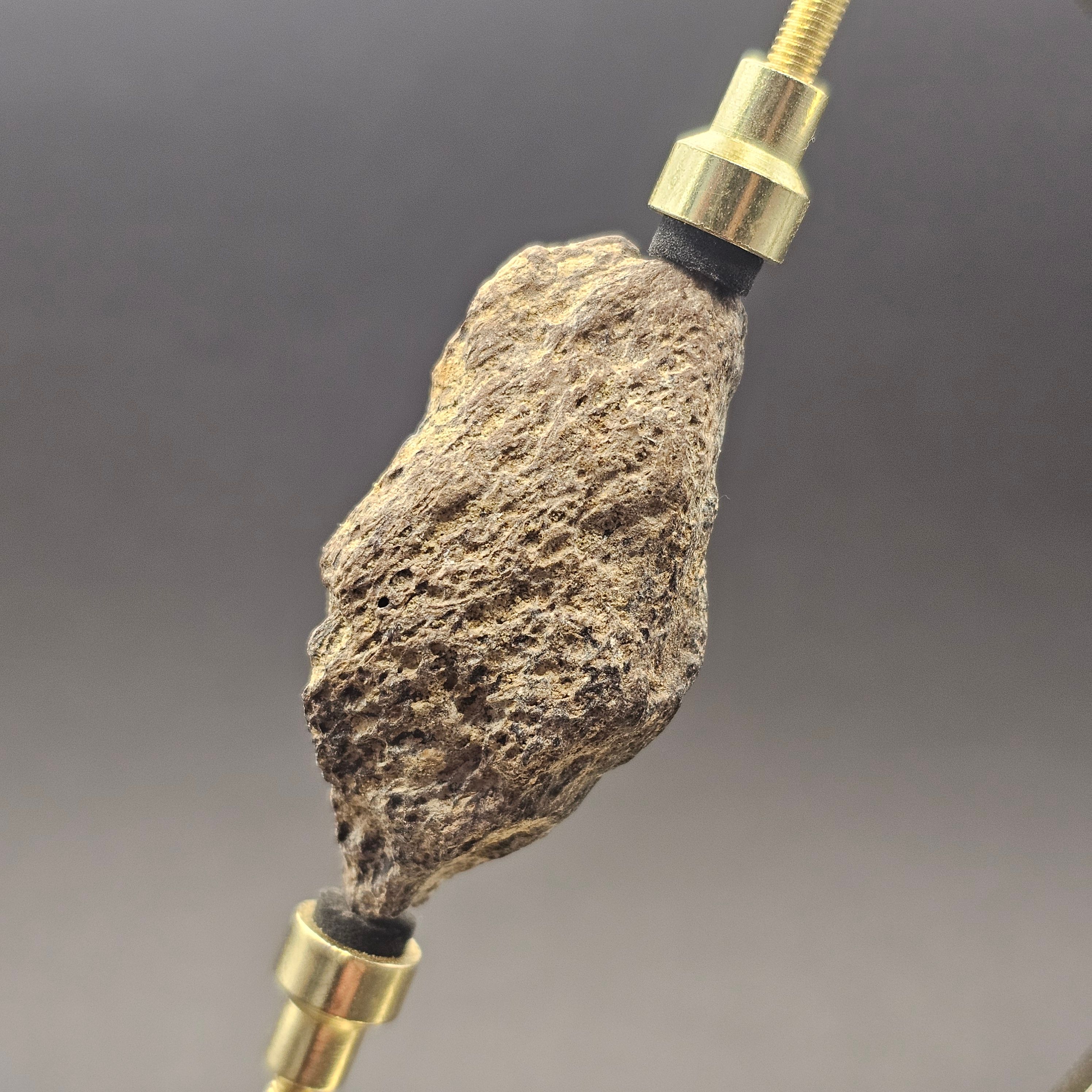 Dinosaur Bone Fragment — view 2