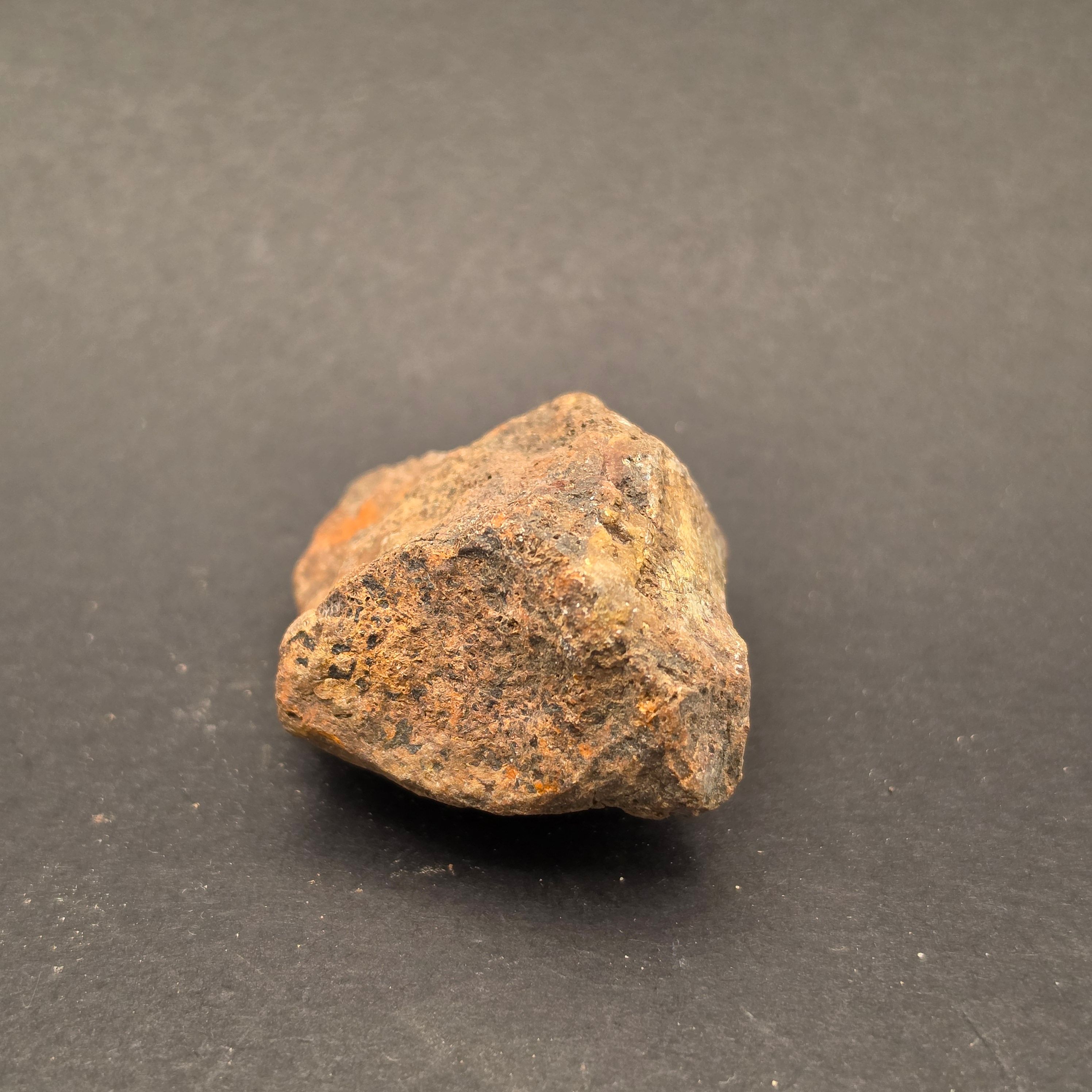 Morrison Formation Dinosaur Bone Fragment — view 6
