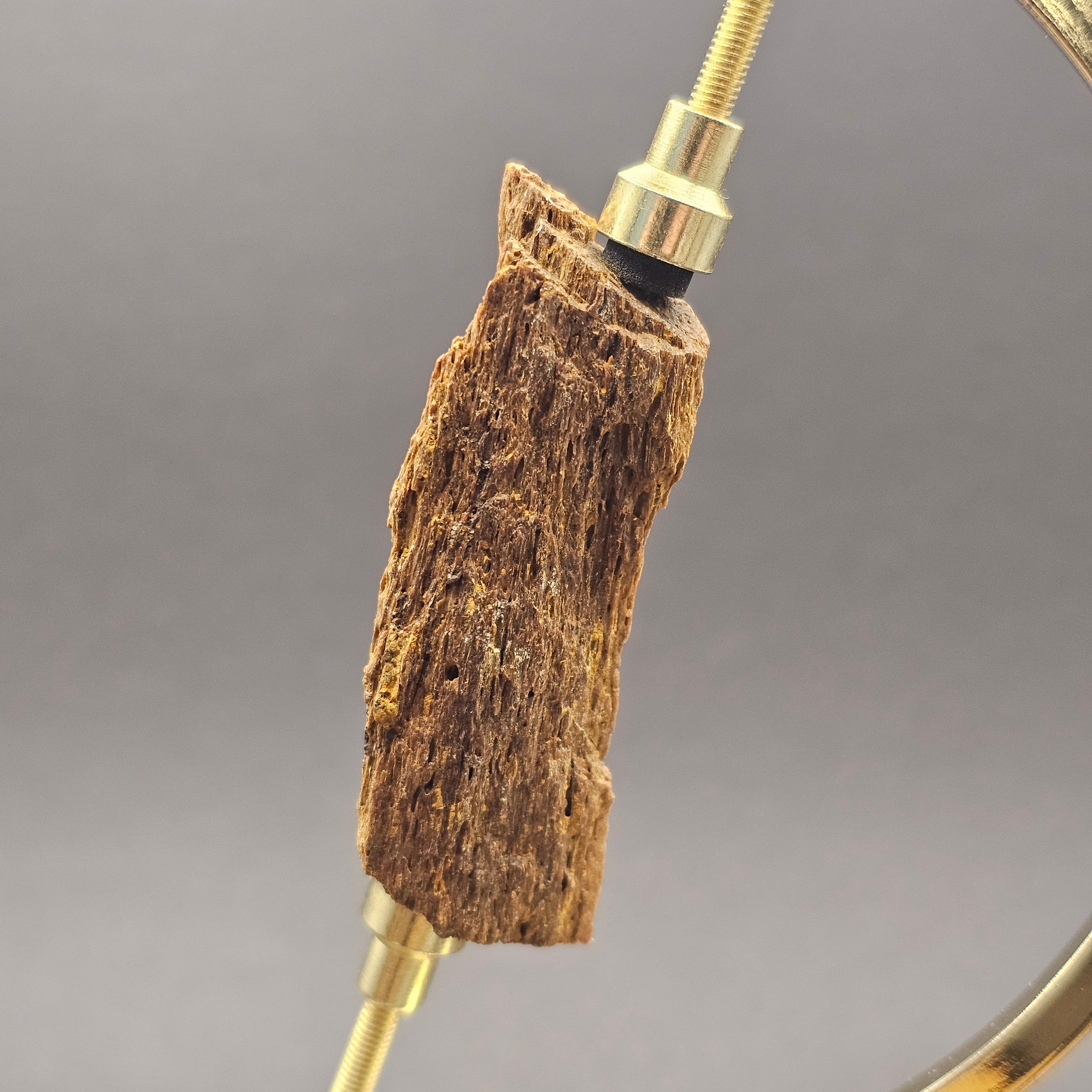 Plesiosaur Bone Fragment — view 5