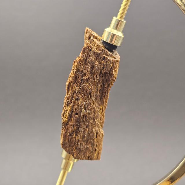 Plesiosaur Bone Fragment — view 5