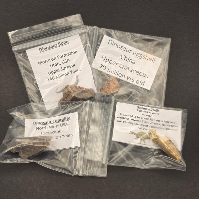 'Dino Pack' Fossil Bundle – 4 Genuine Dinosaur Fossils — view 3