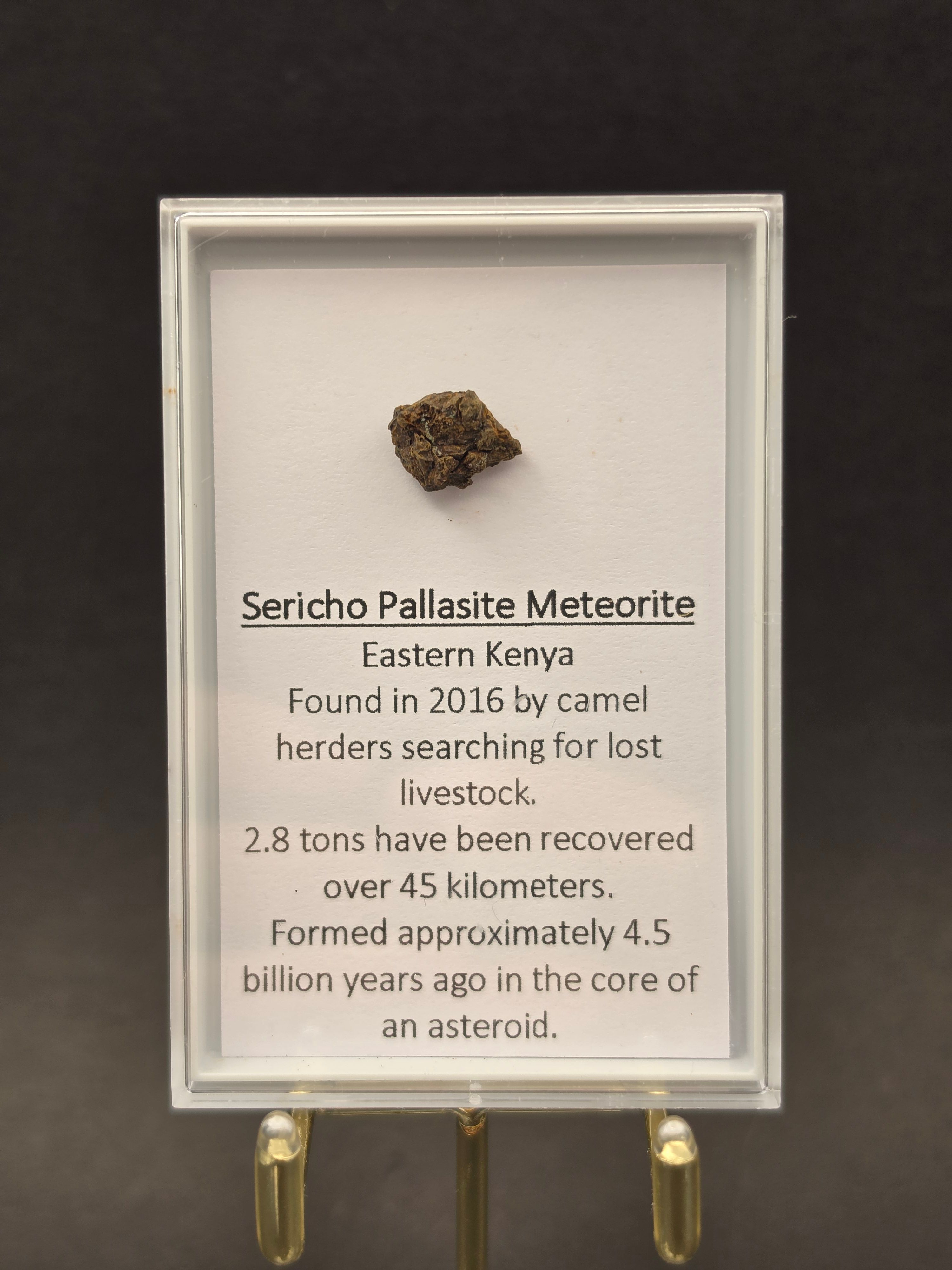 Sericho Pallasite Meteorite — view 4