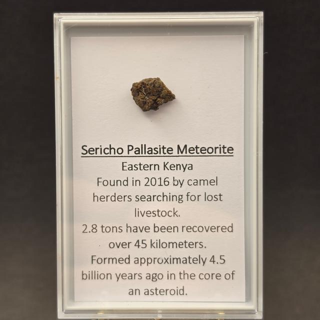 Sericho Pallasite Meteorite — view 4