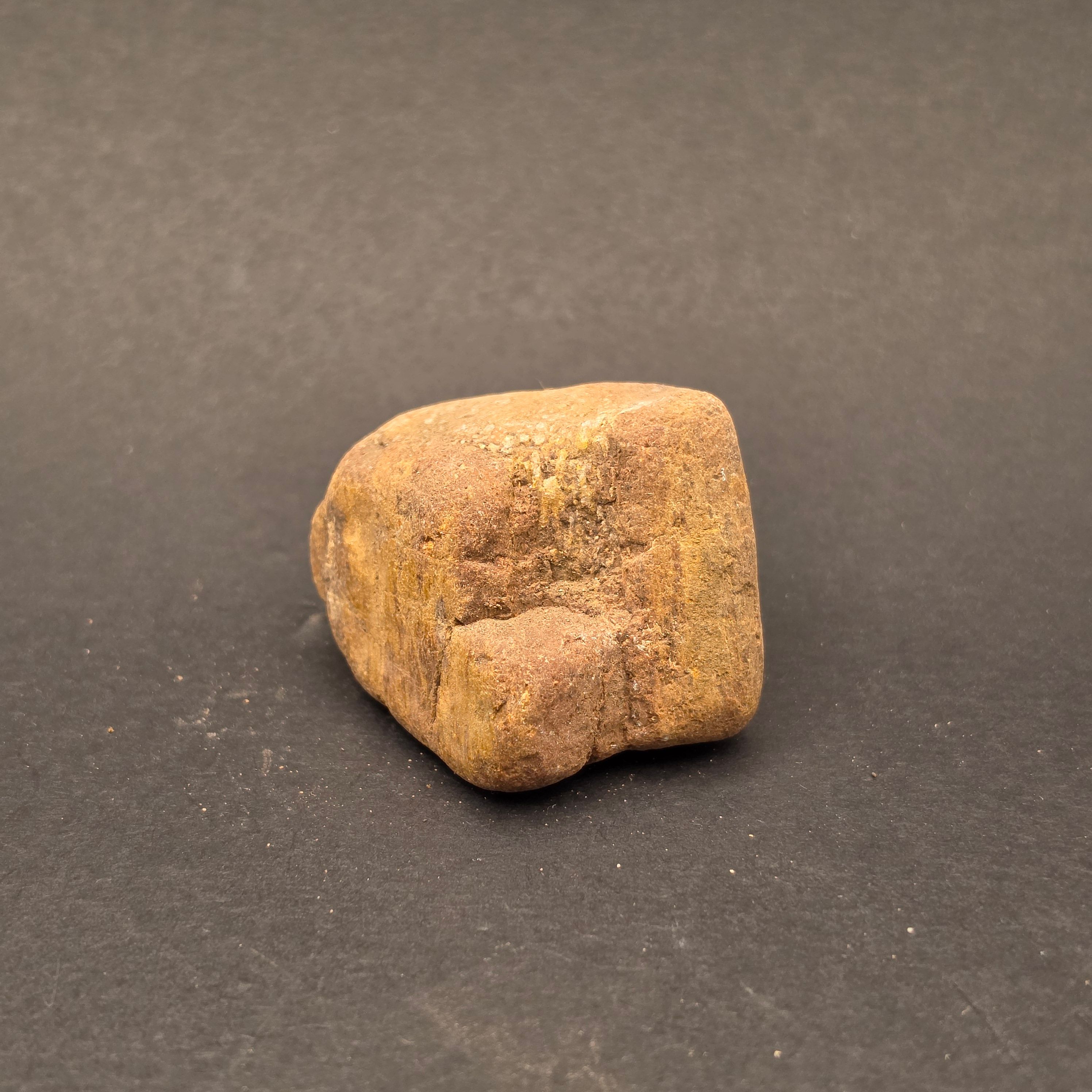 Morrison Formation Dinosaur Bone Fragment — view 5