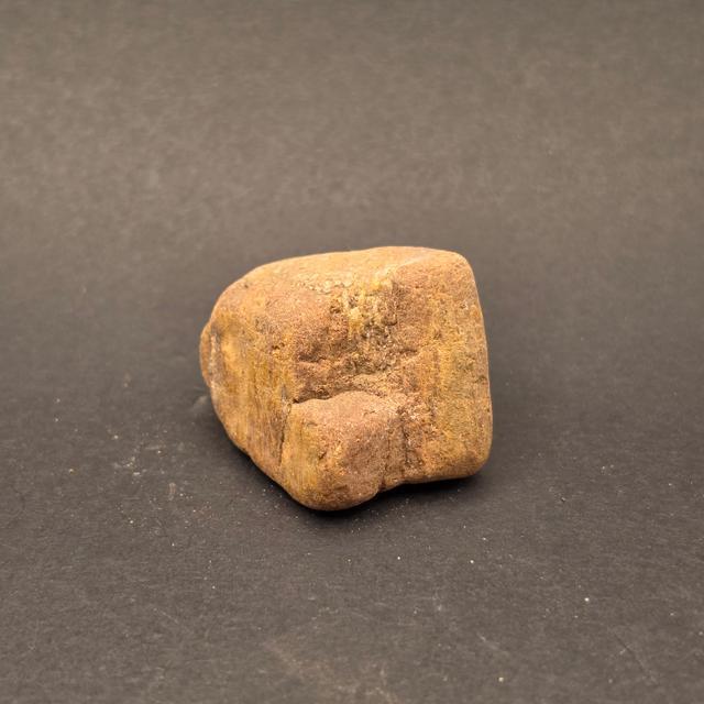 Morrison Formation Dinosaur Bone Fragment — view 5