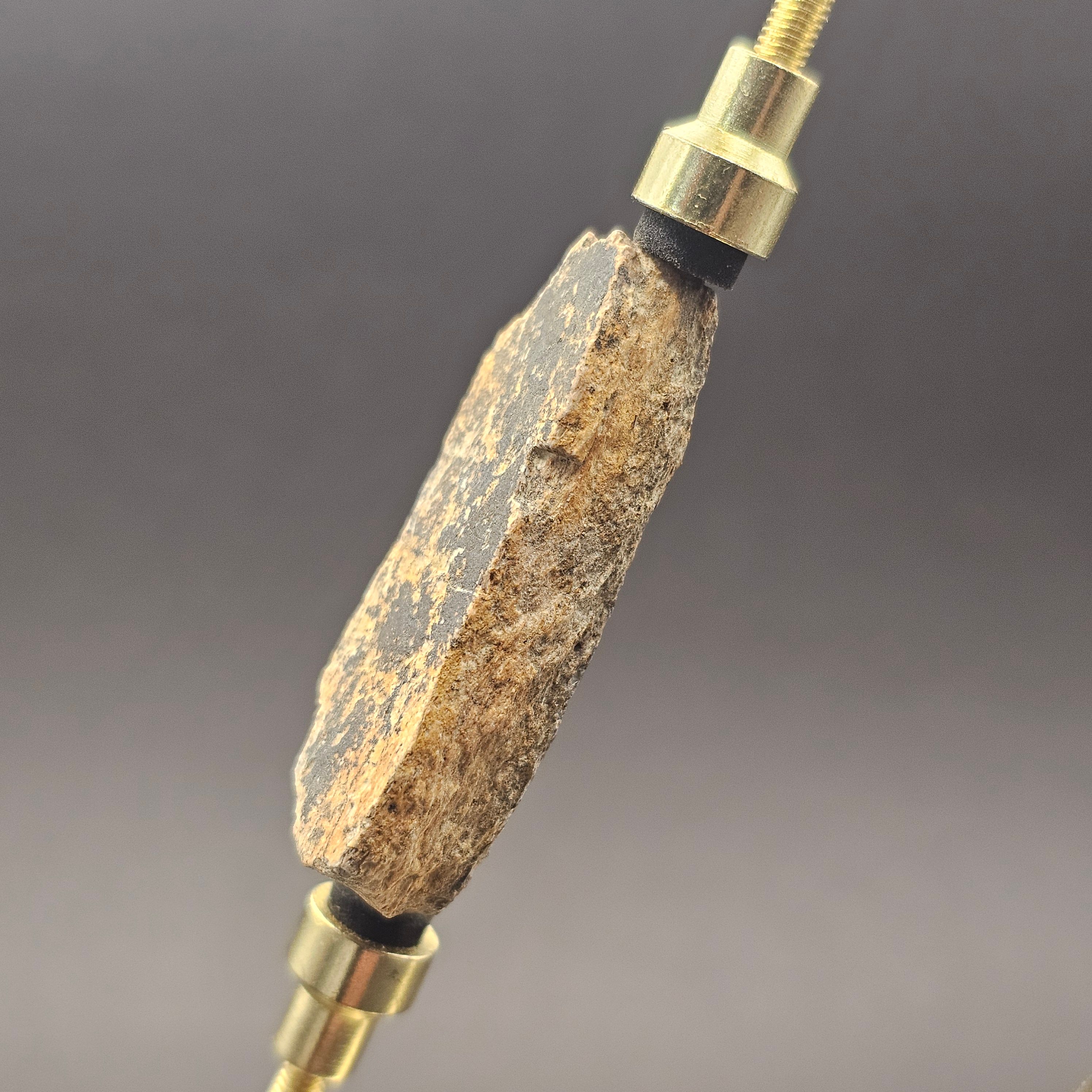 Dinosaur Bone Fragment — view 4
