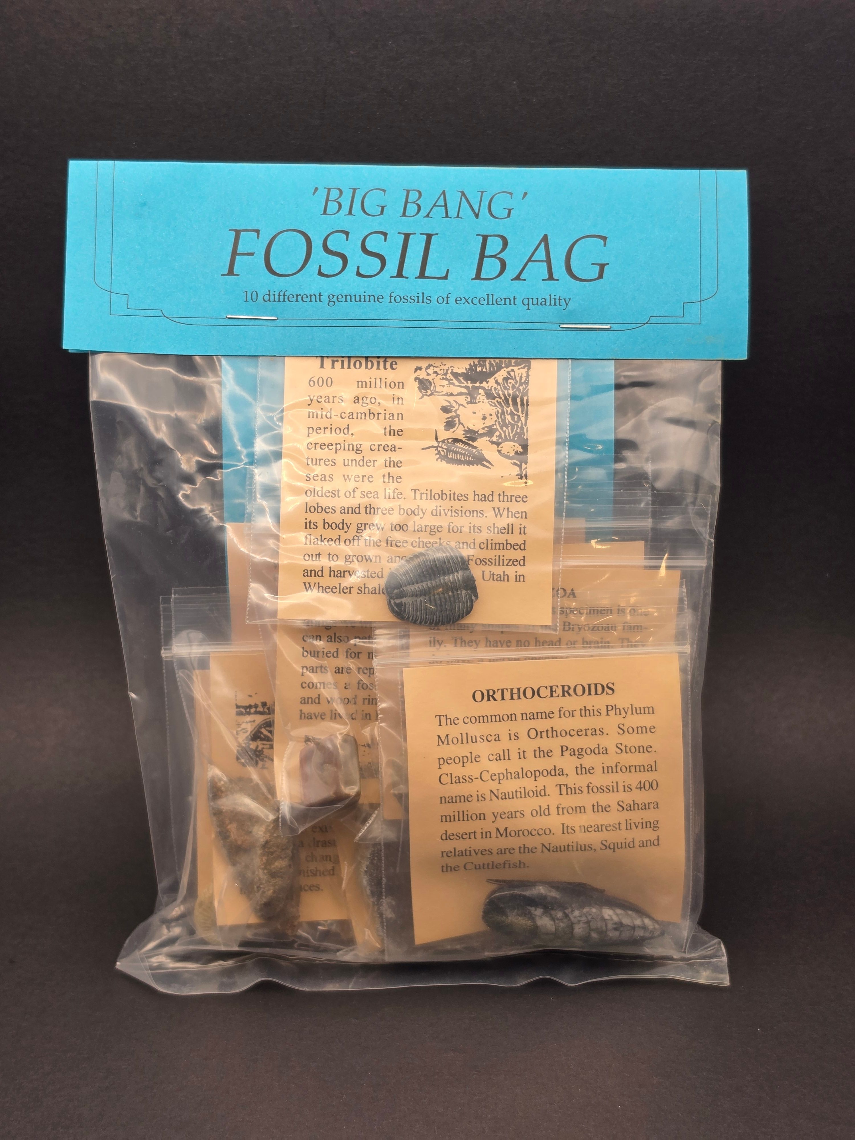 Big Bang Fossil Bundle Bag – 10 Genuine Fossil Specimens