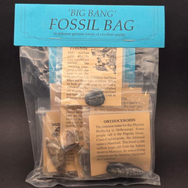 Big Bang Fossil Bundle Bag – 10 Genuine Fossil Specimens — view 1