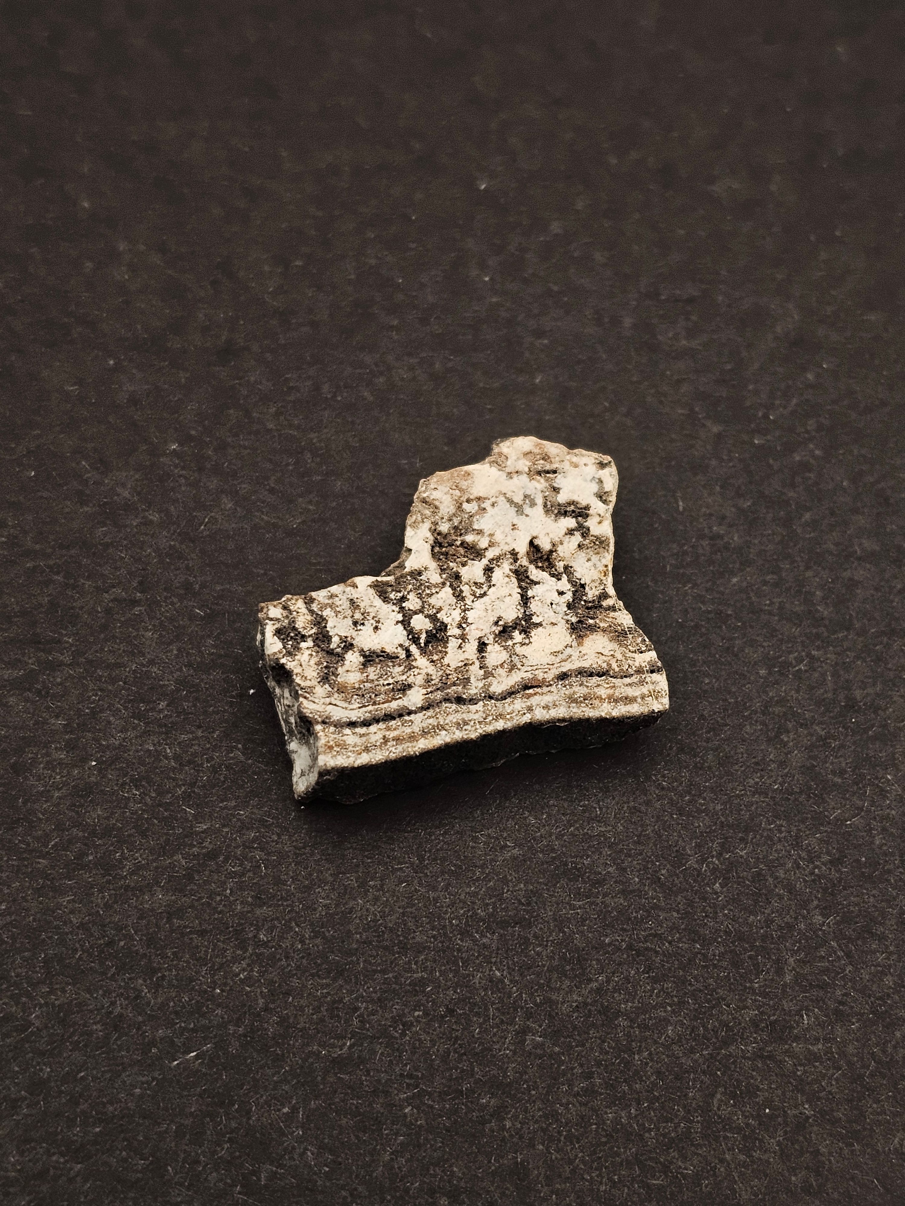 Dresser Formation Stromatolite Fragment — view 2